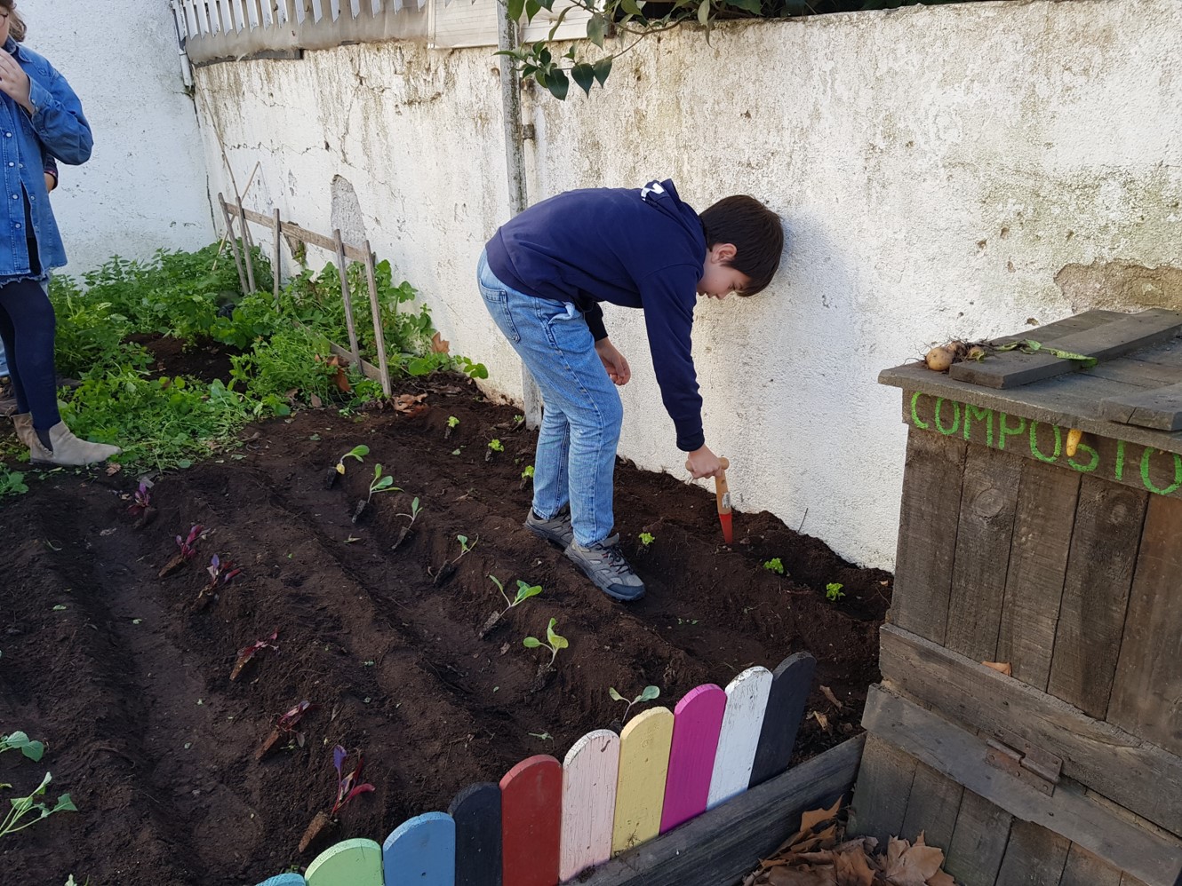Plantações na Horta (alfaces).