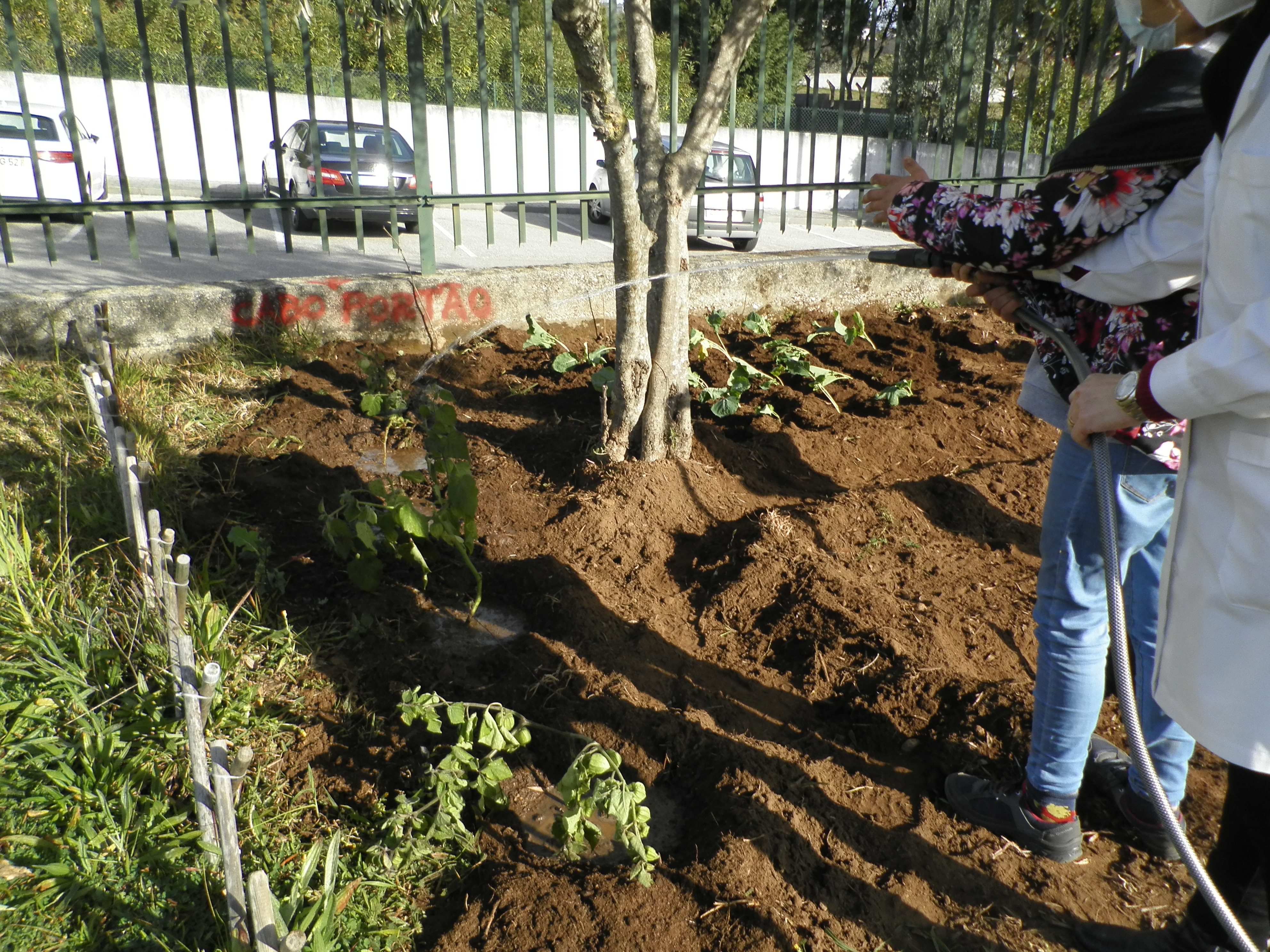 Alunos  regam a área cultivada