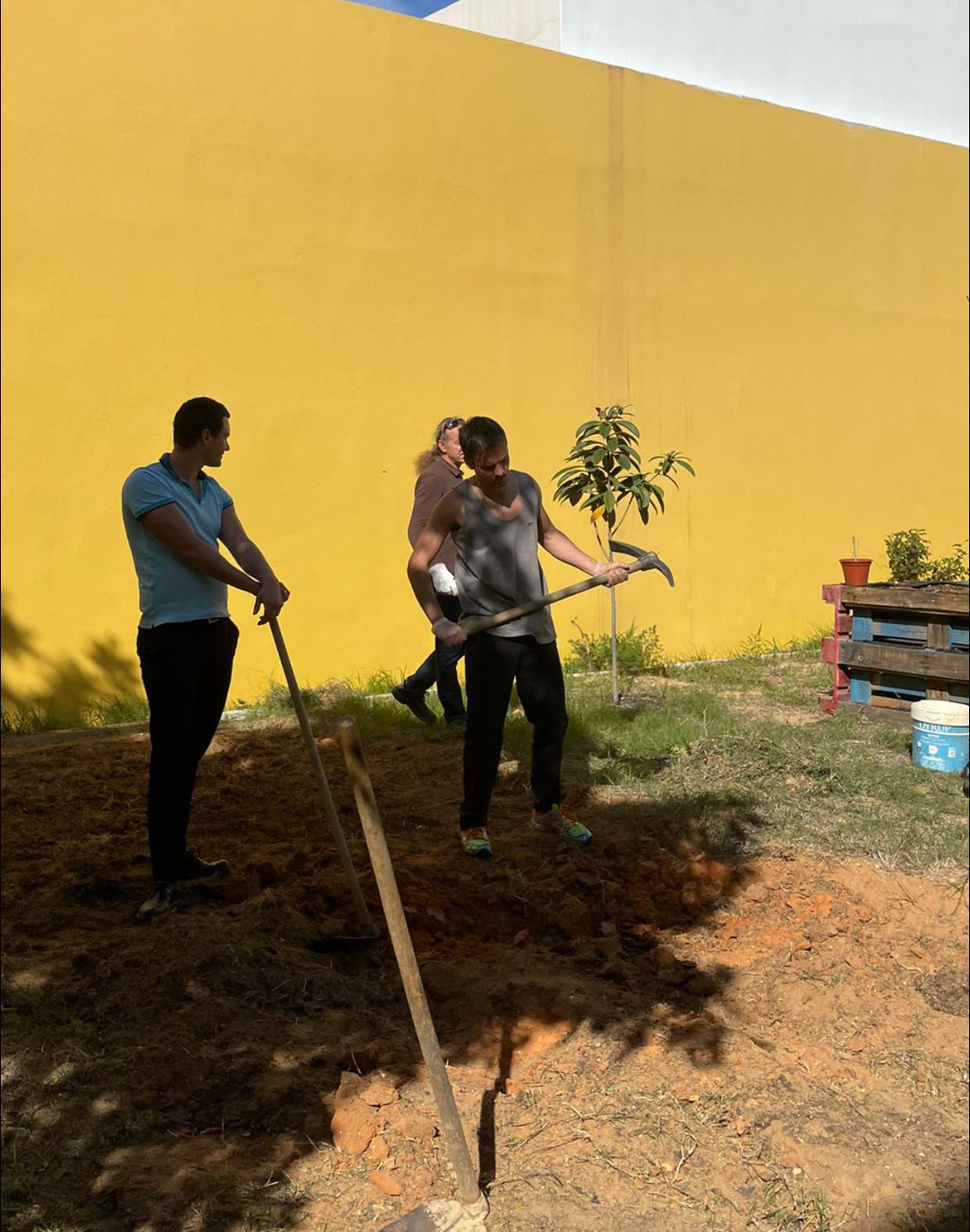 Planeamento e início das plantações