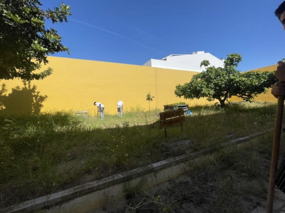 Alunos da turma de Cozinha a cuidar do talhão da horta