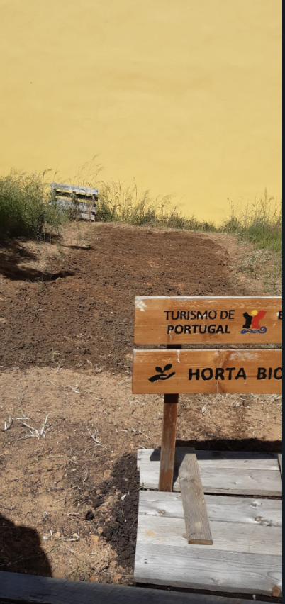 Talhão da horta