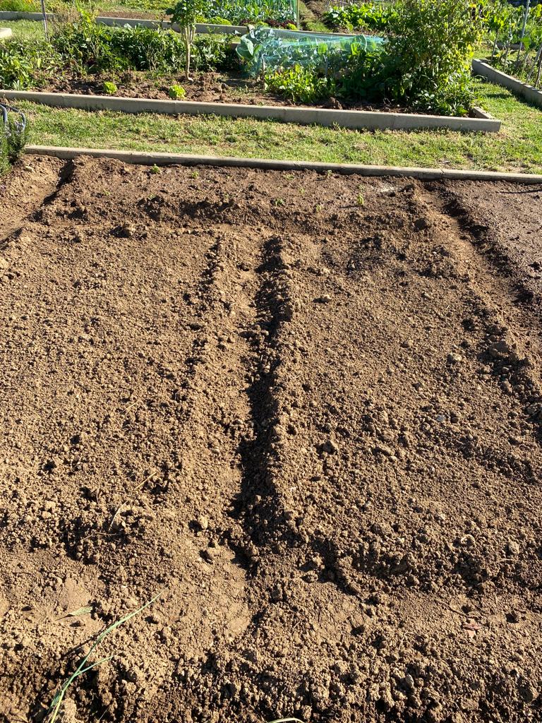 Plantações de inverno