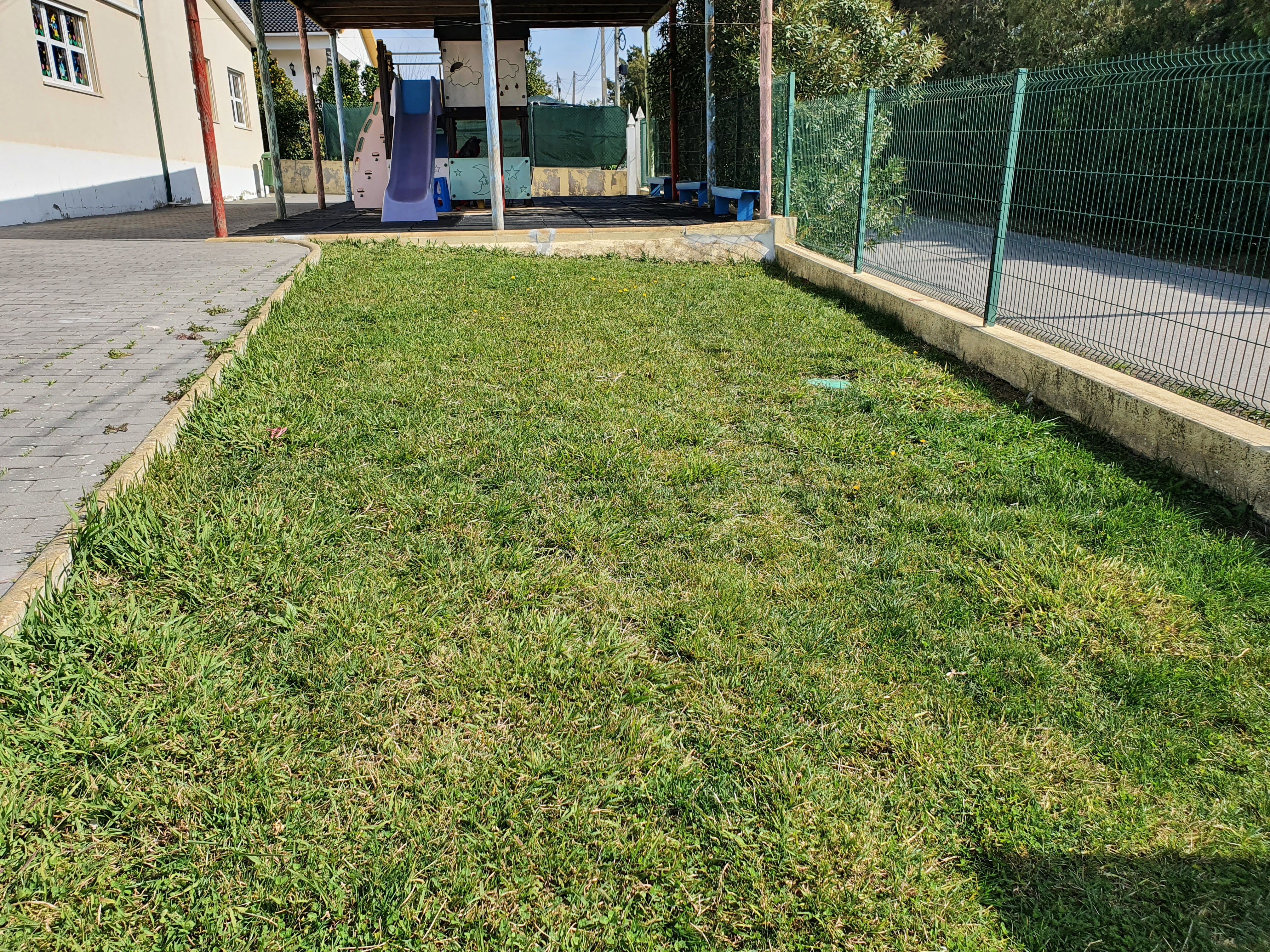 Fevereiro - espaço para futura horta