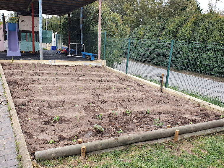 7 de abril - plantação com colaboração da Câmara Municipal de Torres vedras