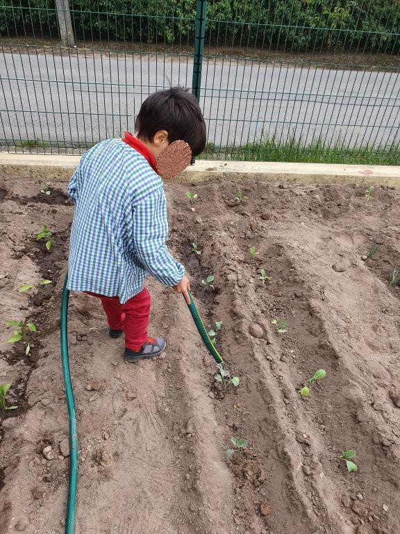 7 de abril - plantação com colaboração da Câmara Municipal de Torres vedras