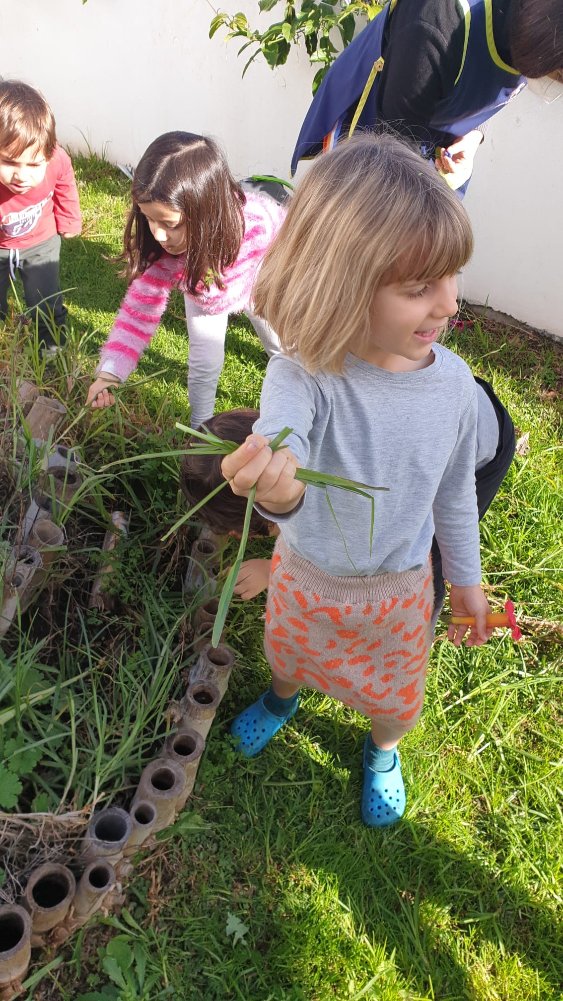Retirar as ervas daninhas da horta, para depois cultivar
