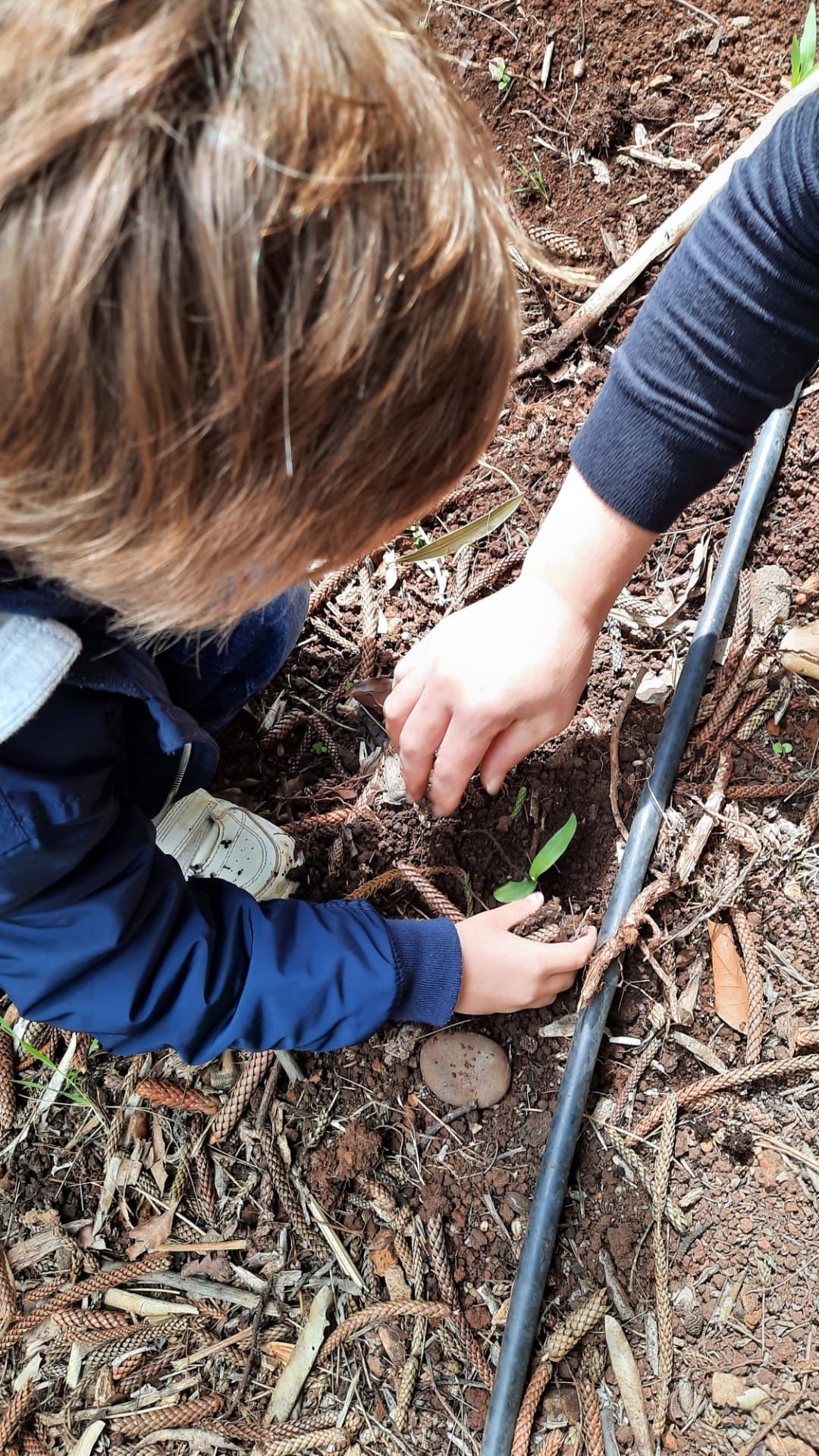Preparação e limpesa do terreno