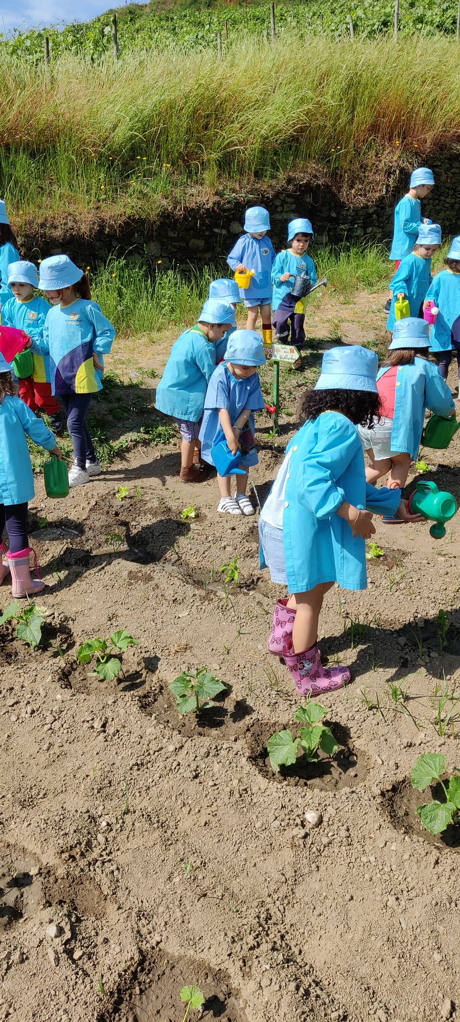 Os alunos do Curso Técnico de apoio Psicossocial promoveram uma atividade na qual as crianças da Sta Casa da Misericórdia do Peso da Régua, criaram uma horta pedagógica, onde plantaram e recolheram posteriormente alguns produtos hortícolas.