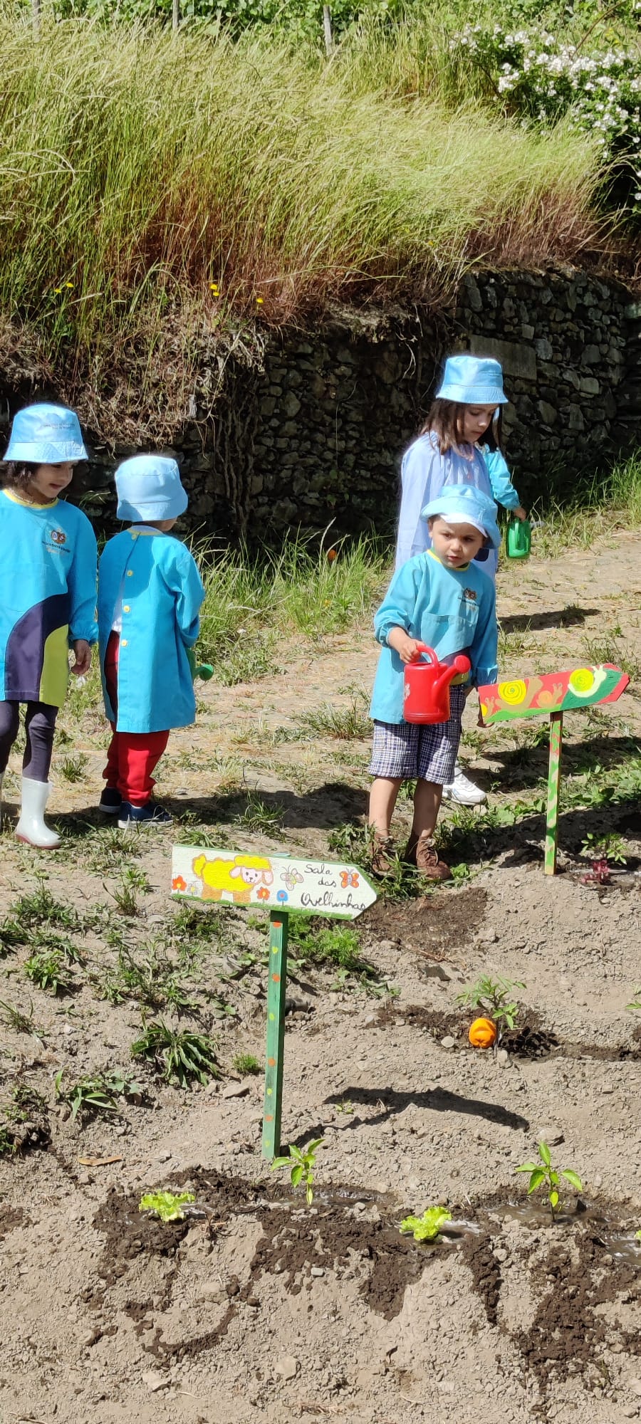 Os alunos do Curso Técnico de apoio Psicossocial promoveram uma atividade na qual as crianças da Sta Casa da Misericórdia do Peso da Régua, criaram uma horta pedagógica, onde plantaram e recolheram posteriormente alguns produtos hortícolas.