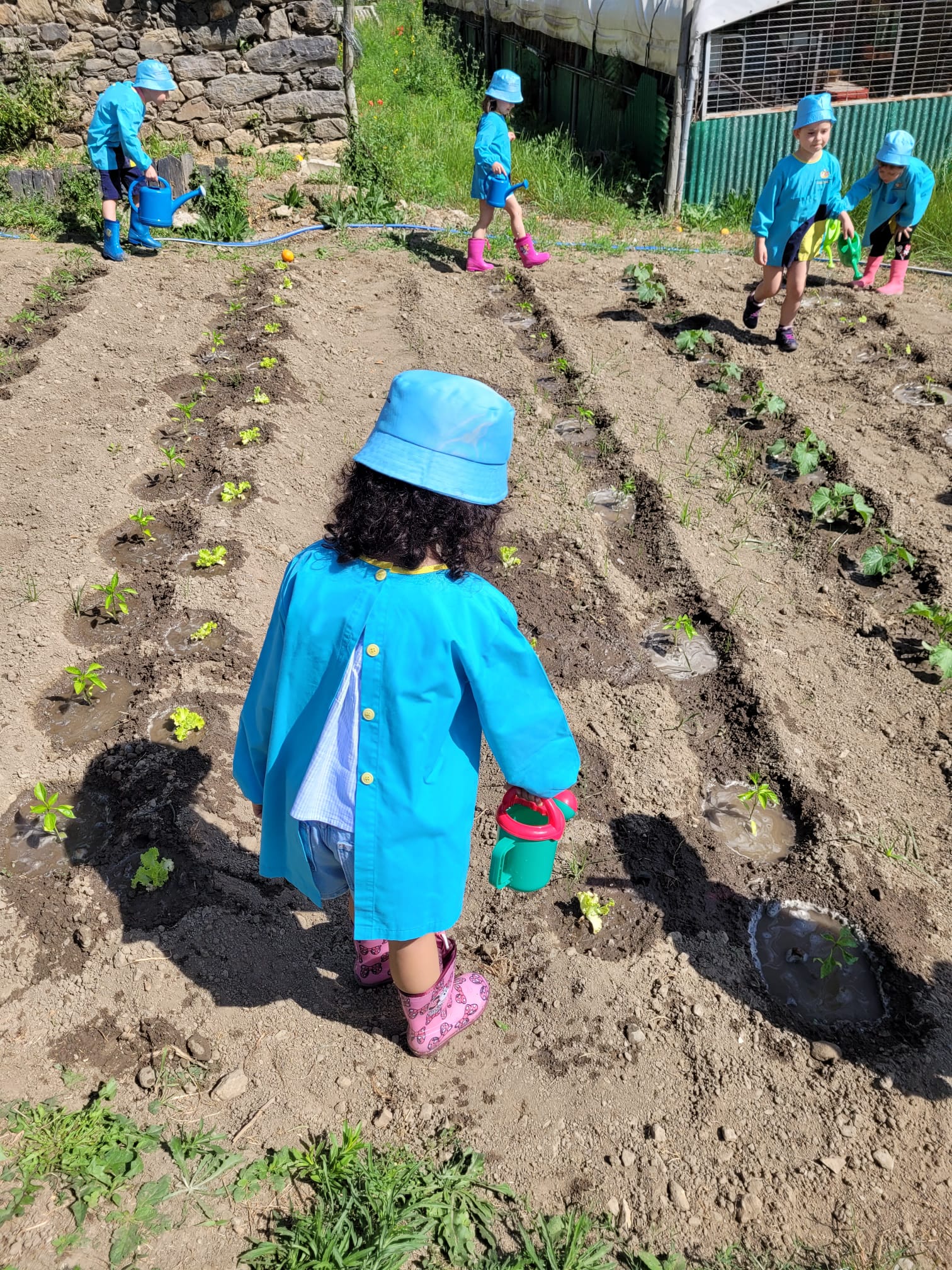 Os alunos do Curso Técnico de apoio Psicossocial promoveram uma atividade na qual as crianças da Sta Casa da Misericórdia do Peso da Régua, criaram uma horta pedagógica, onde plantaram e recolheram posteriormente alguns produtos hortícolas.