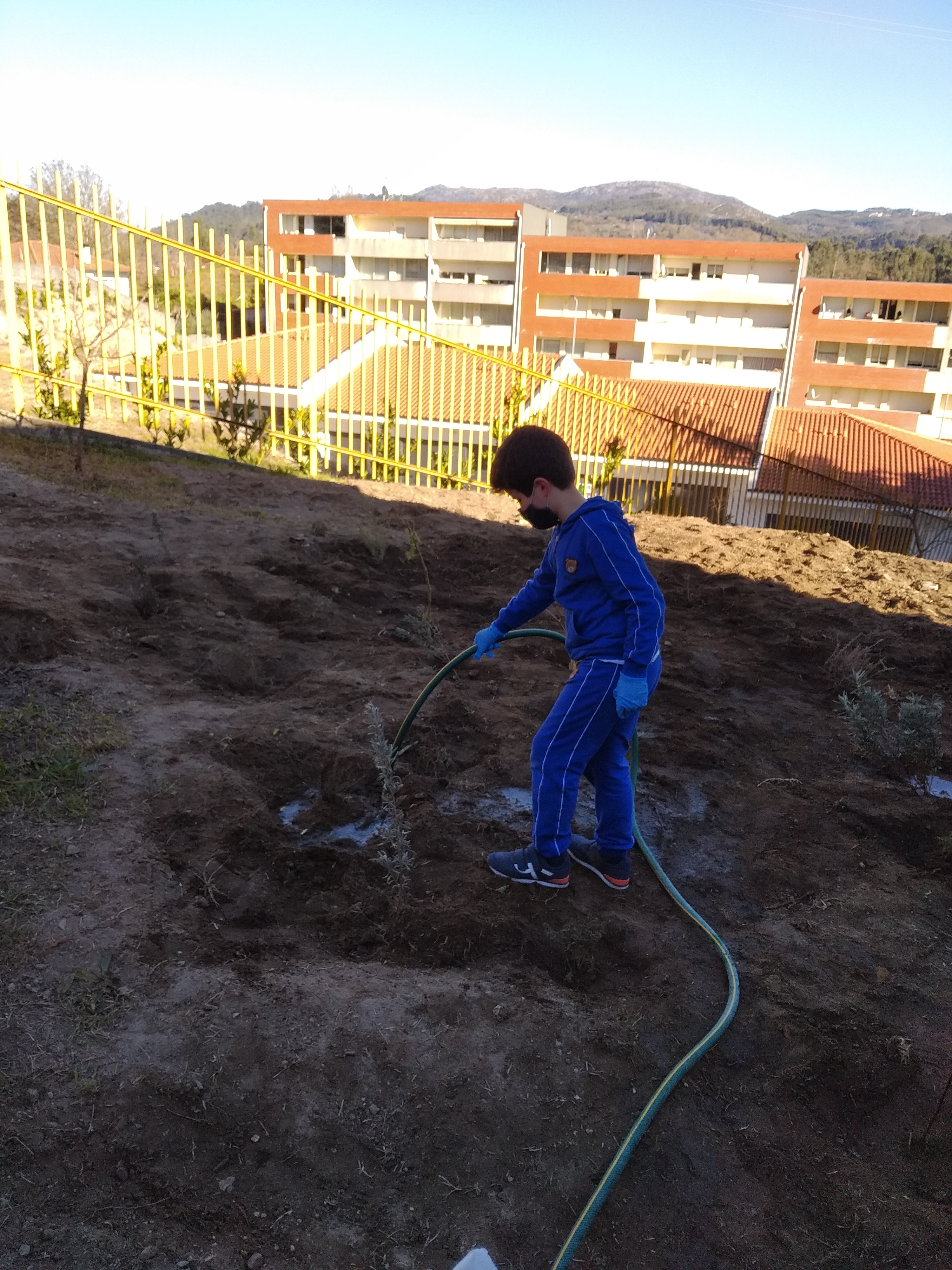 Rega das plantas.