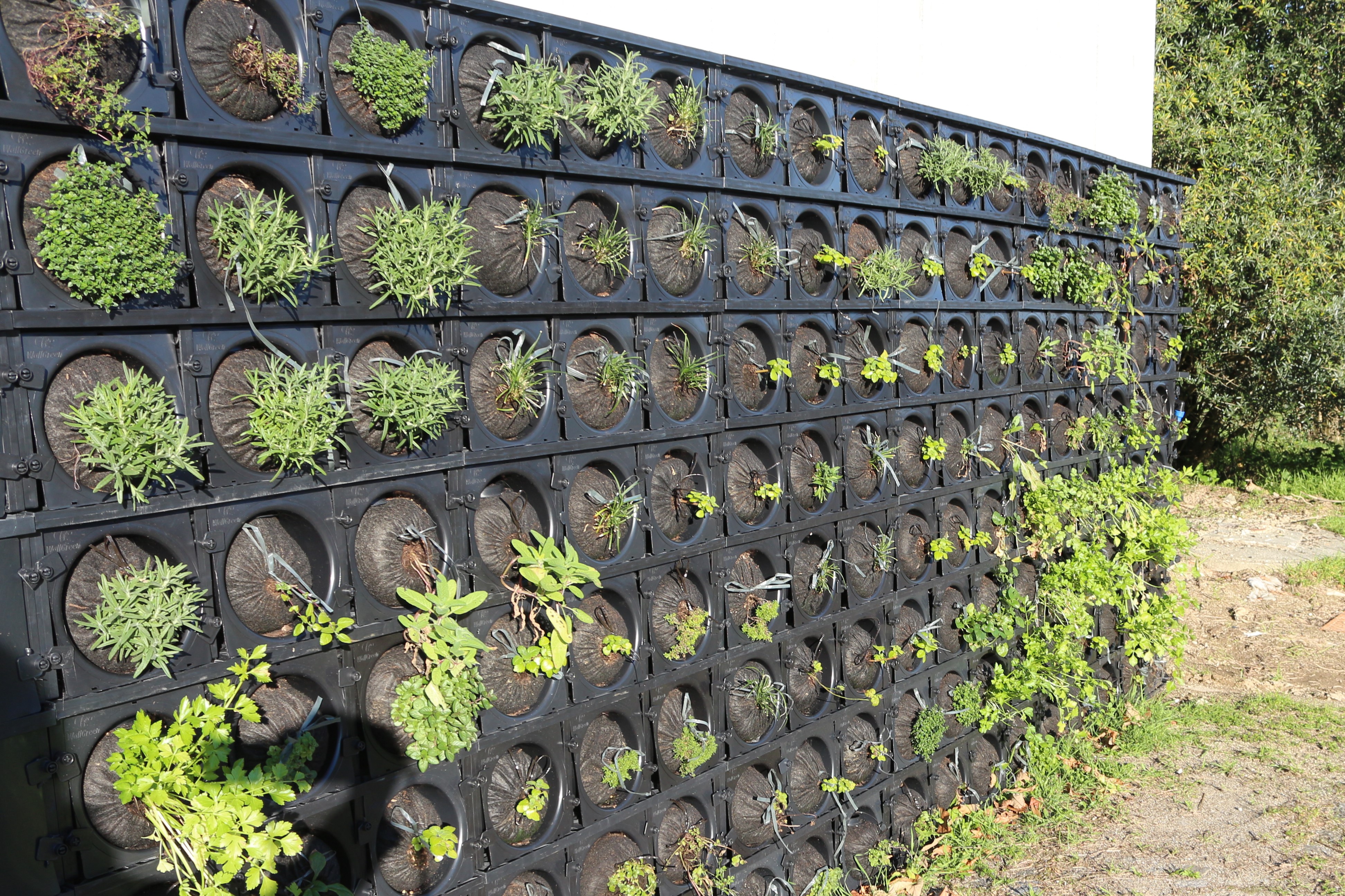 Jardim vertical.