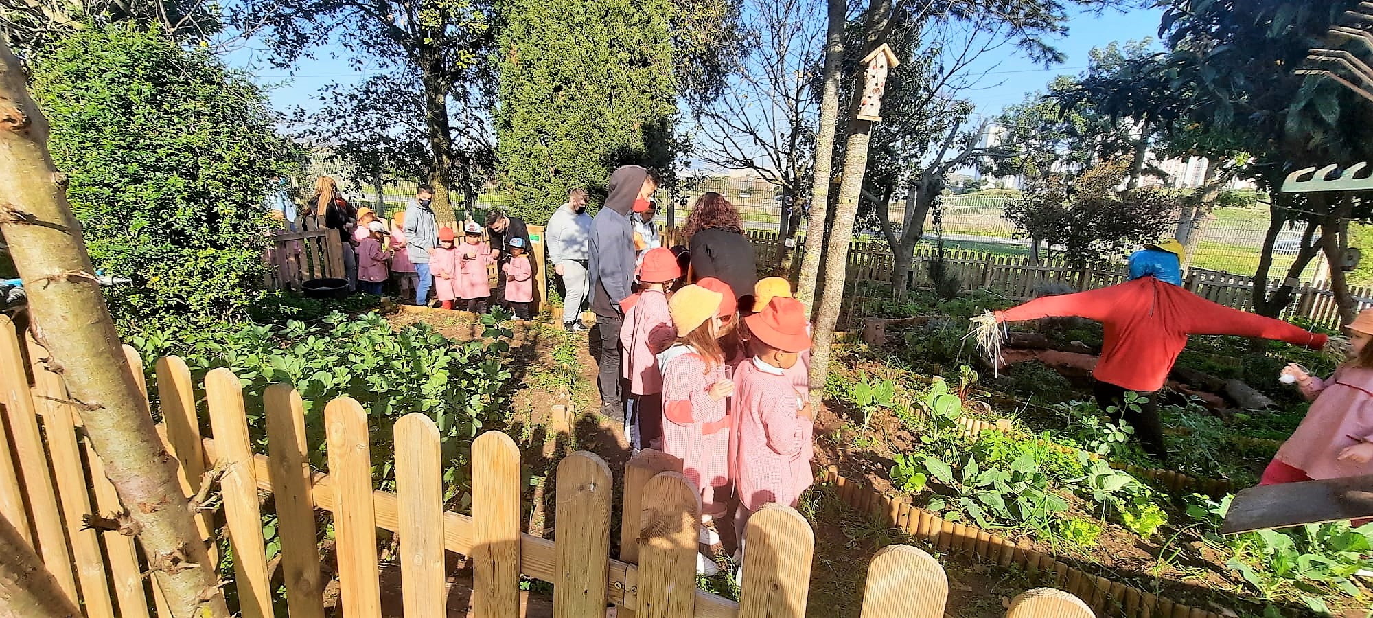 Grande plano da horta mandala da escola secundária José Cardoso Pires, a receber visita de estudo do Jardim de infância de Santo António dos Cavaleiros. Como se pode ver a horta também possui árvores de fruto com hotel de insetos.