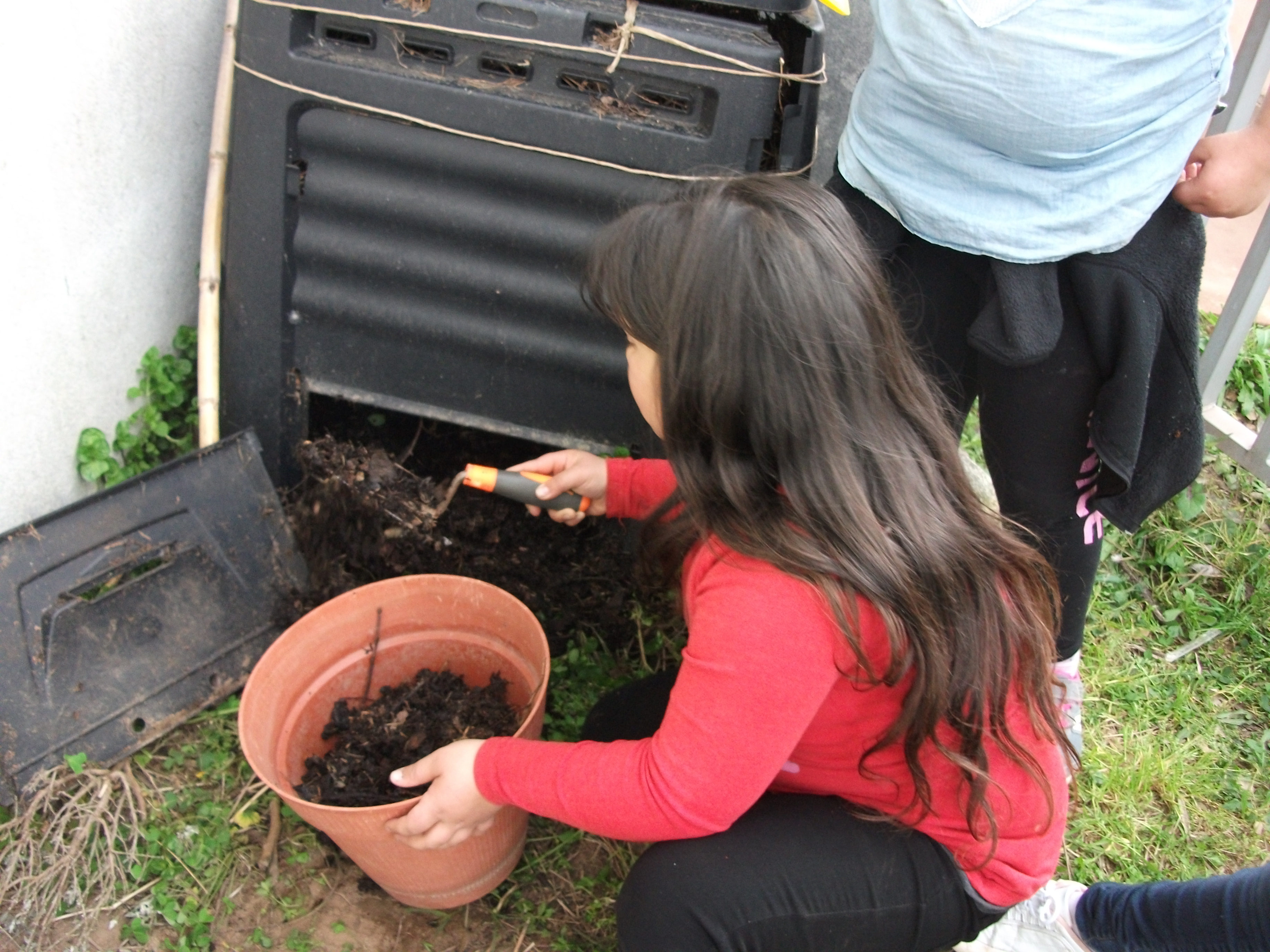 Preparar a terra para novas plantas.