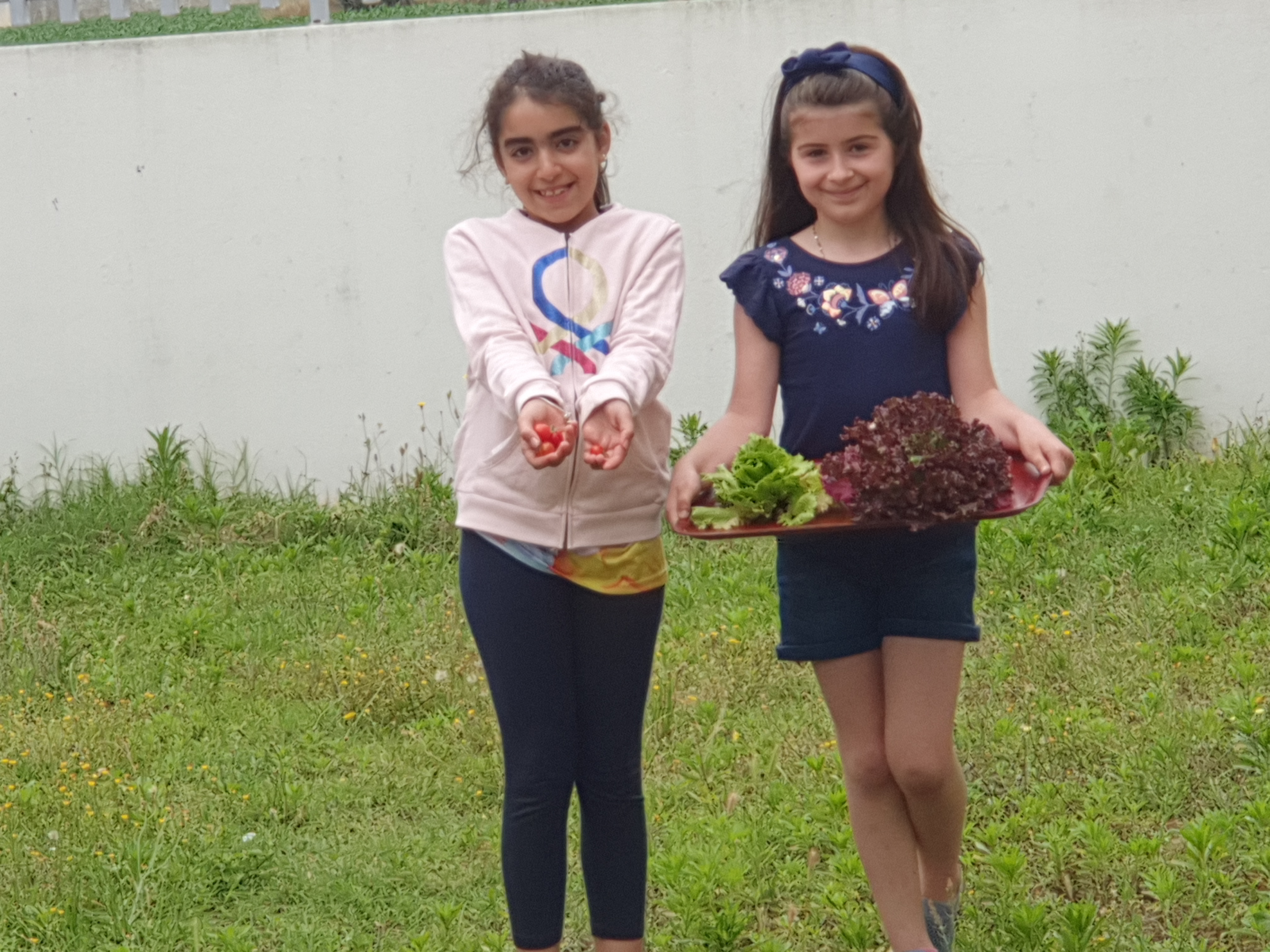 A Mariana e a Margarida foram cortar uma alface e alguns tomates cherry. Estão mesmo eufóricas!!