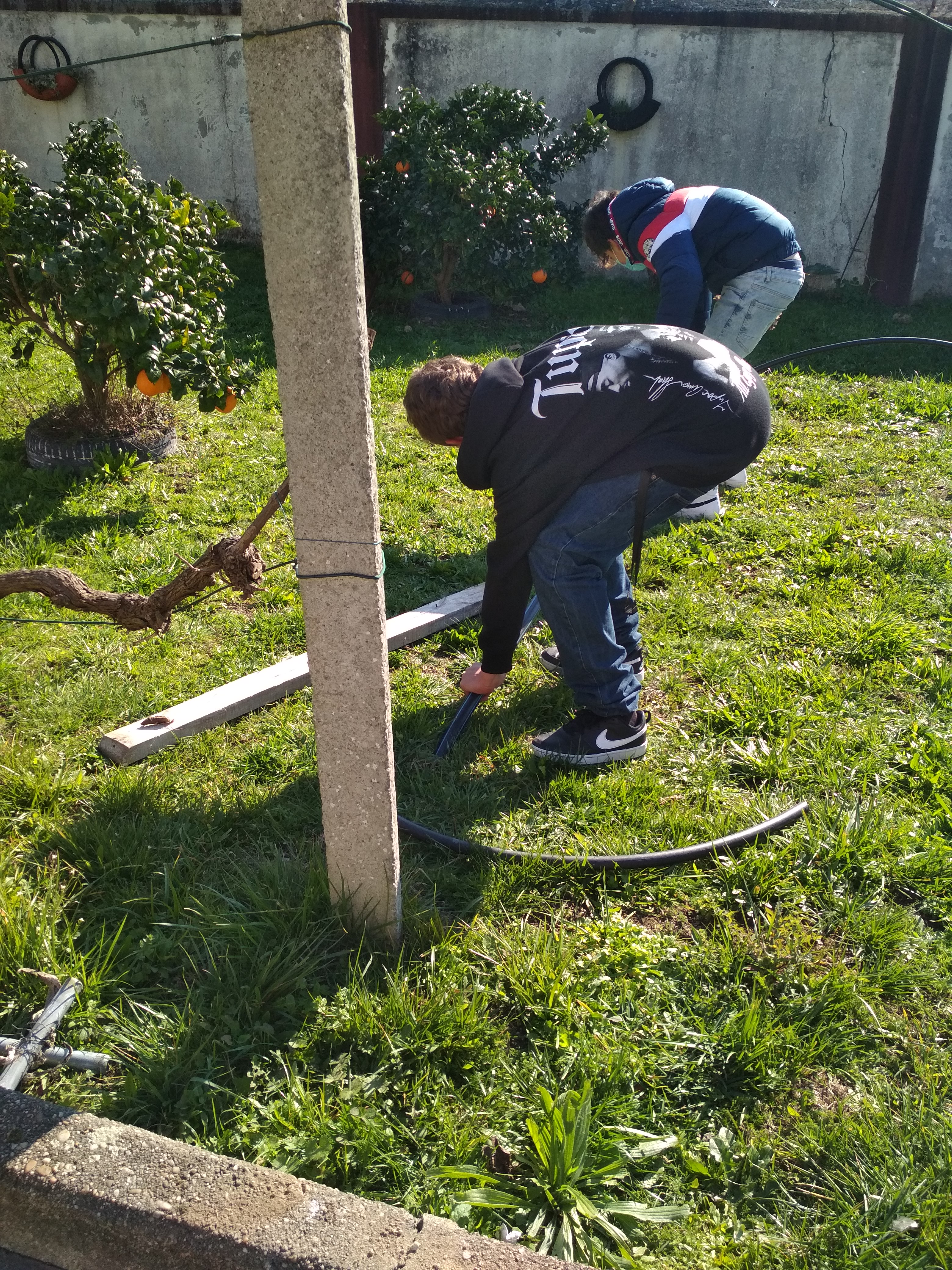 Preparação do terreno para a horta