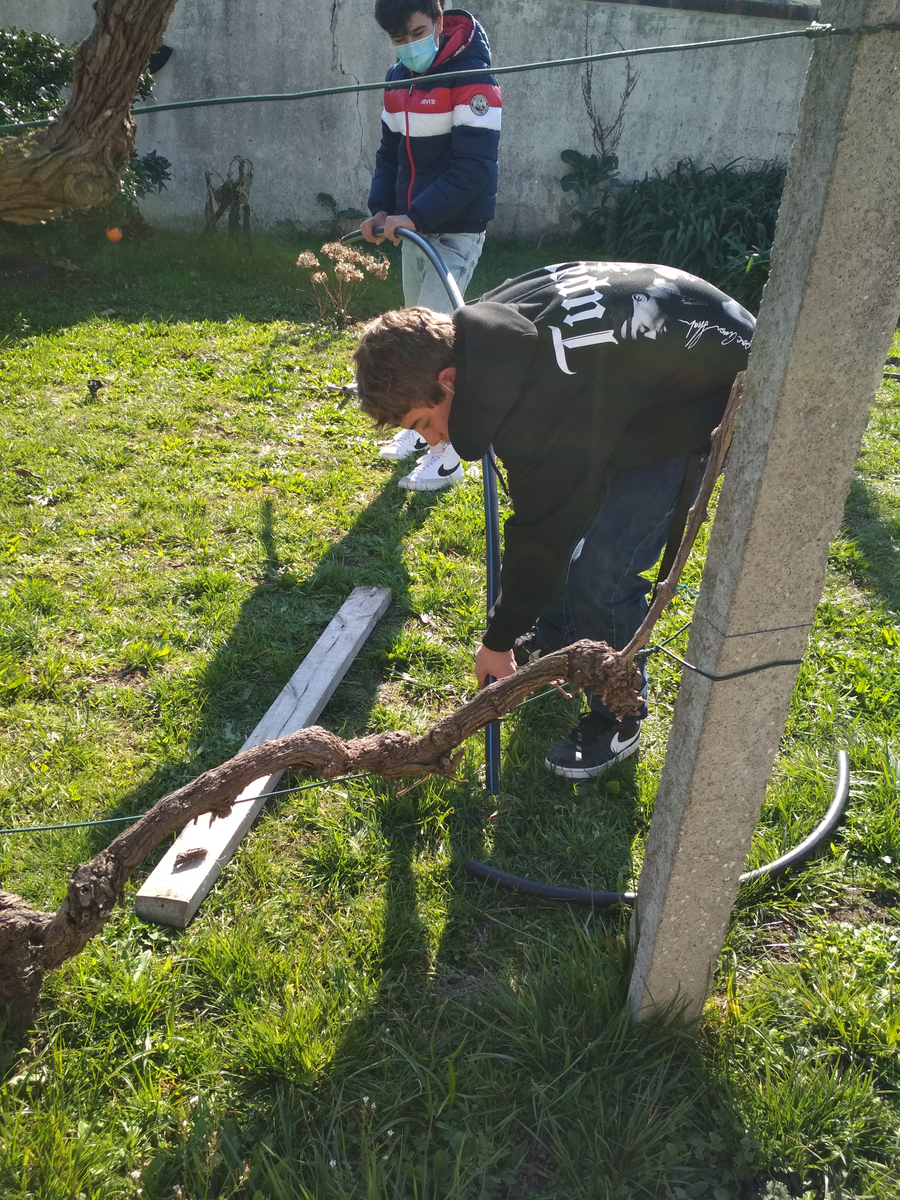 Preparação do terreno para a horta