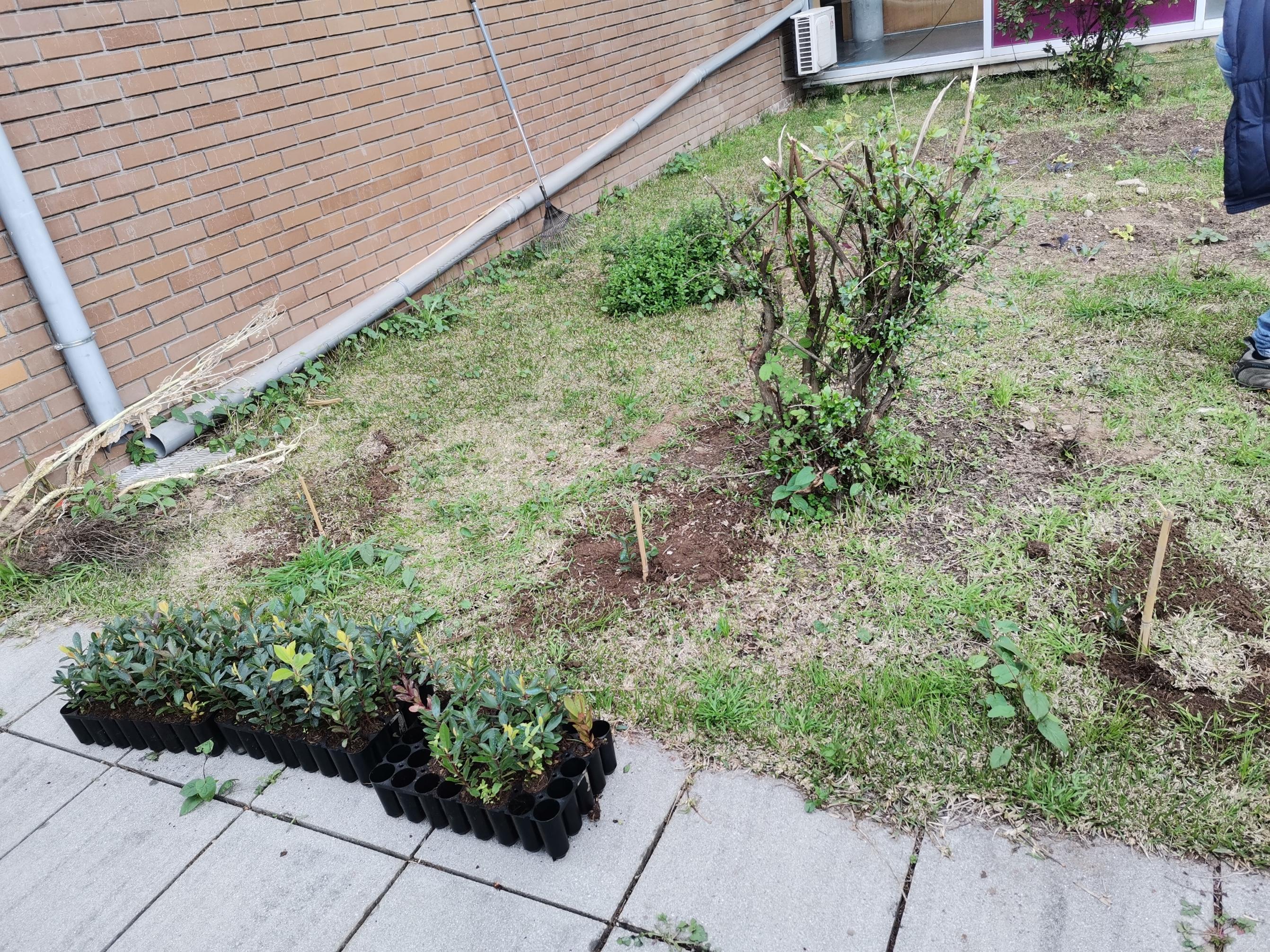 Trabalho de preparação da Horta