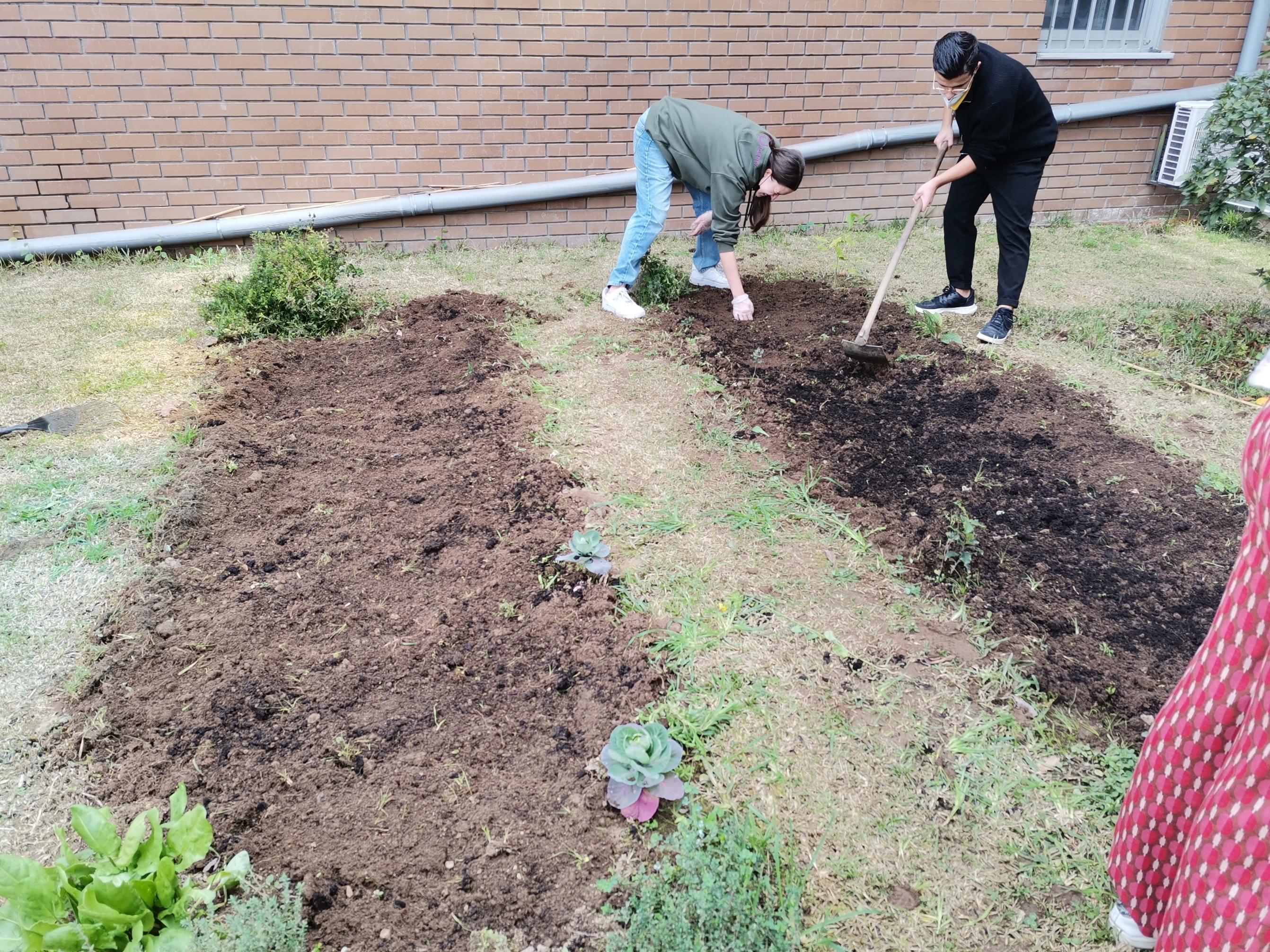 Trabalho de preparação da Horta