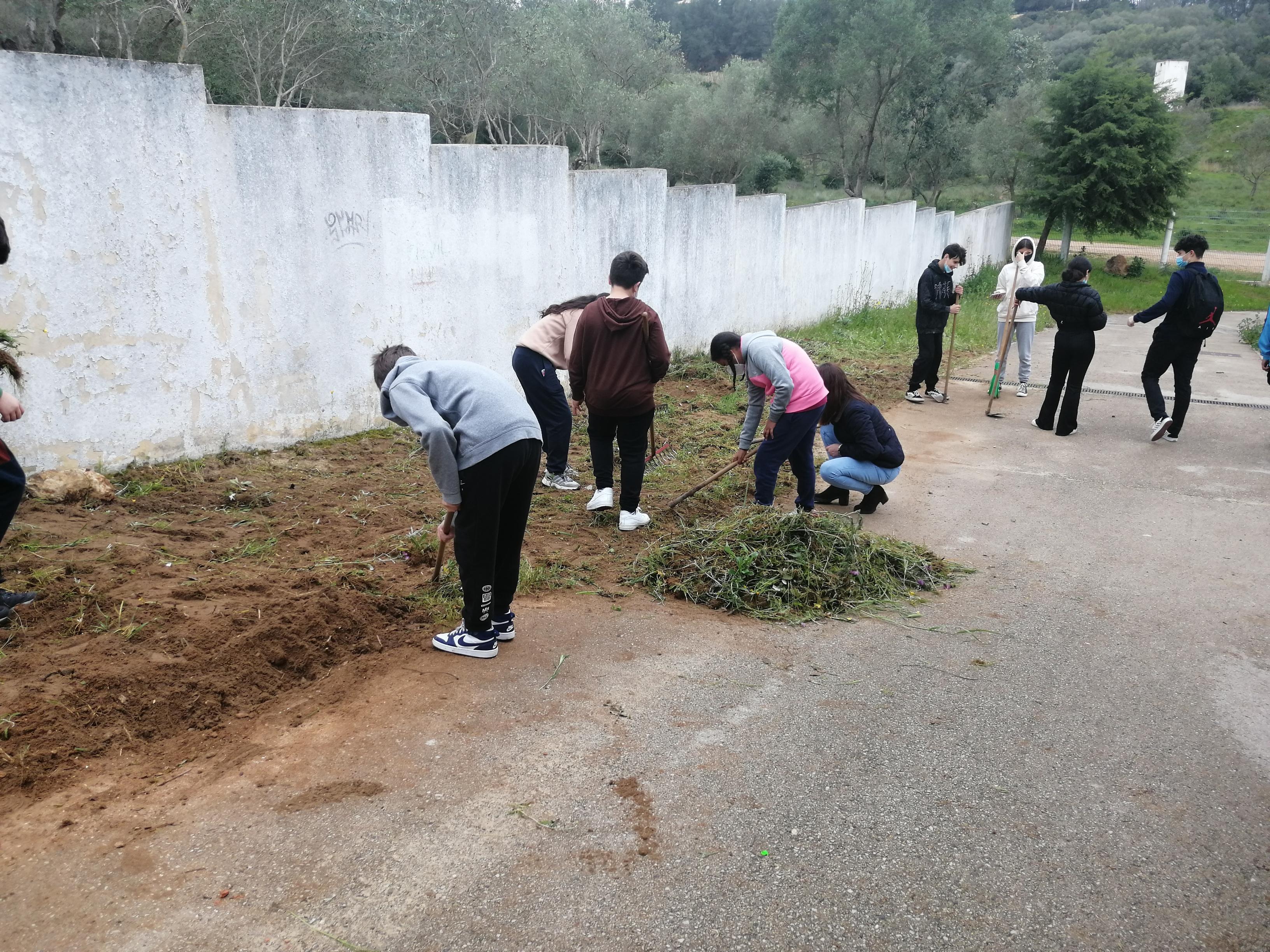 1ª fase da horta-retirada de ervas daninhas e preparação do terreno - uns trabalham outros descansam