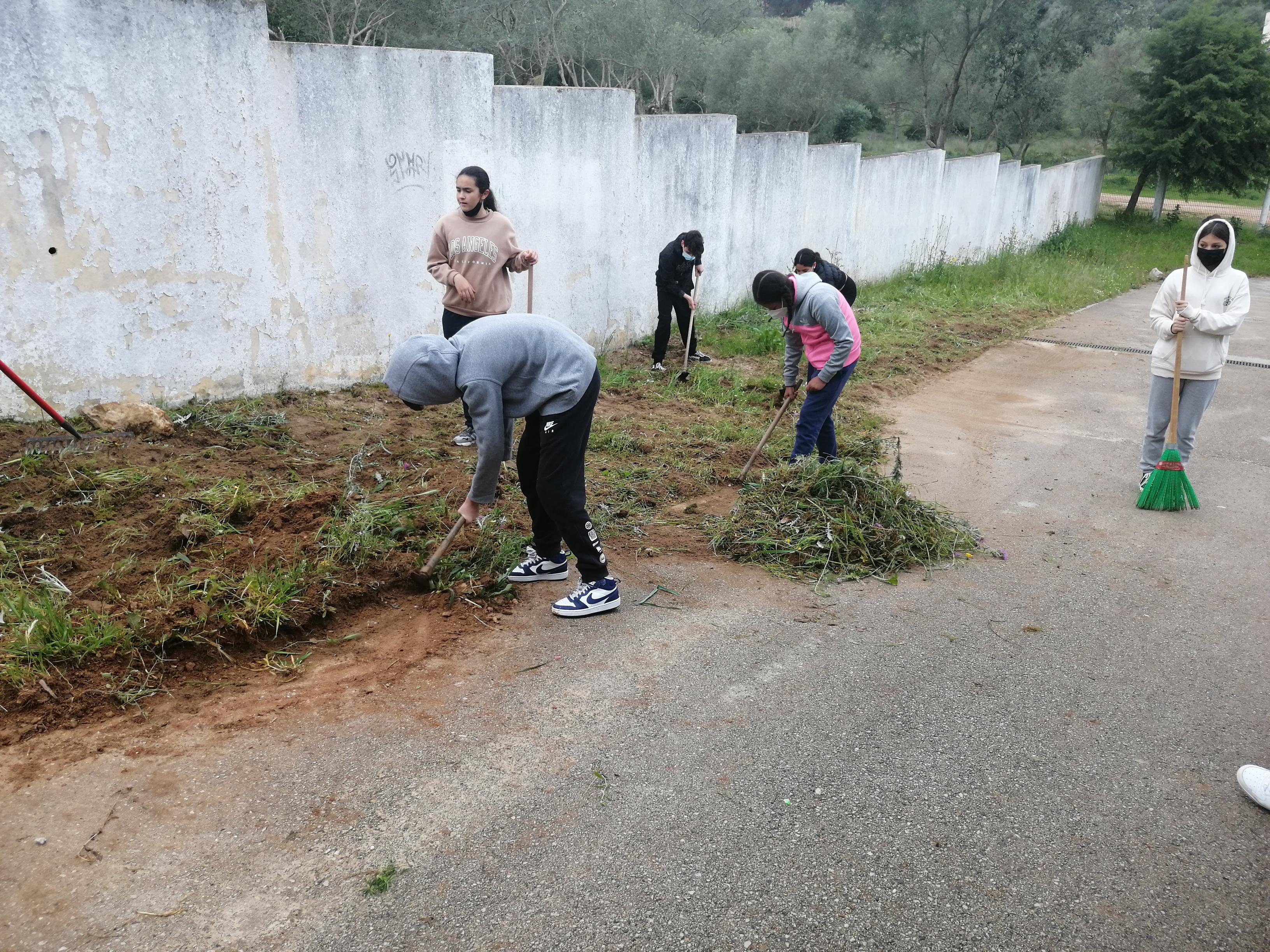 1ª fase da horta-retirada de ervas daninhas- recolha de matéria orgânica para compostagem