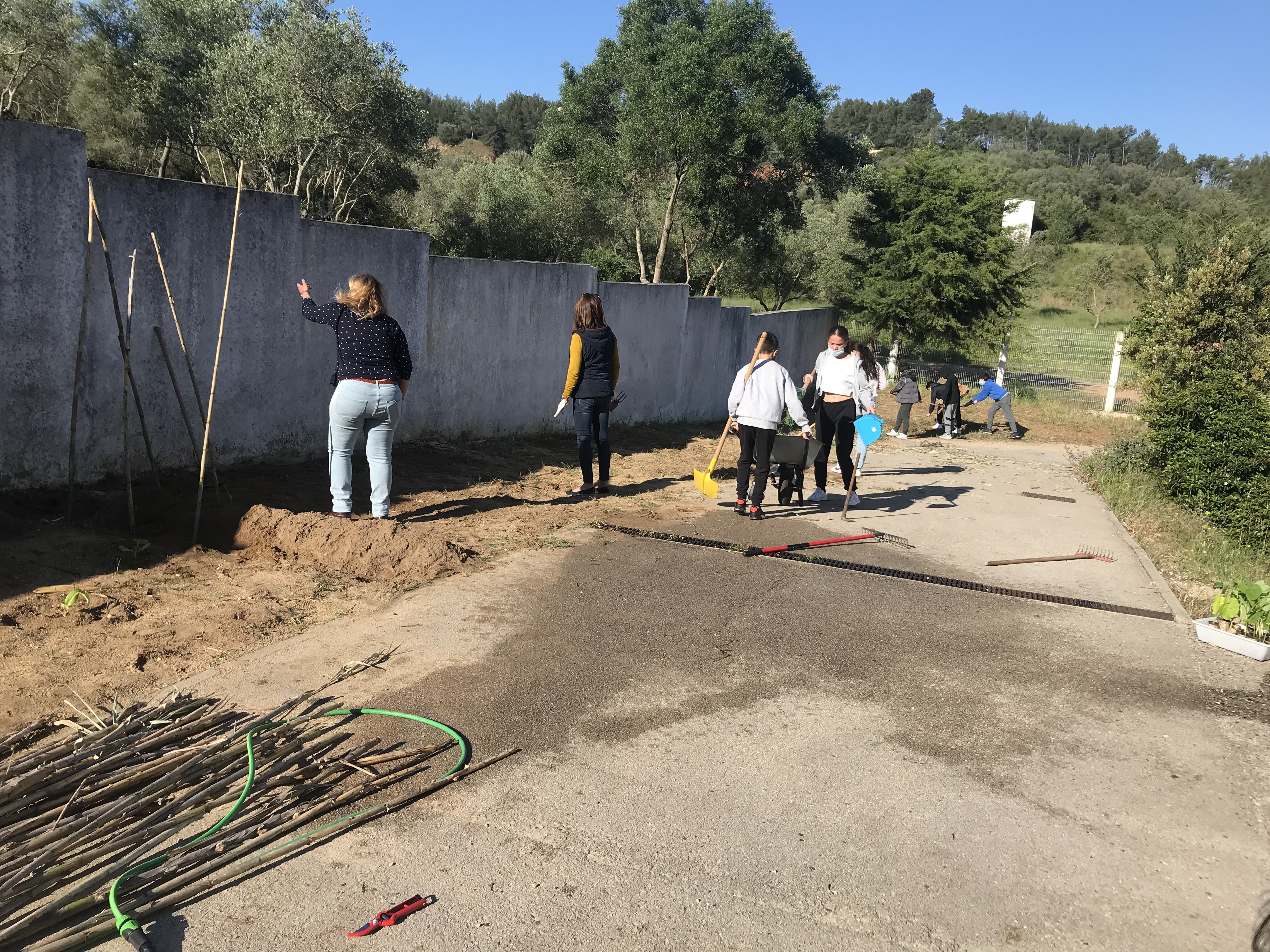 Na manutenção da horta da escola todos trabalham