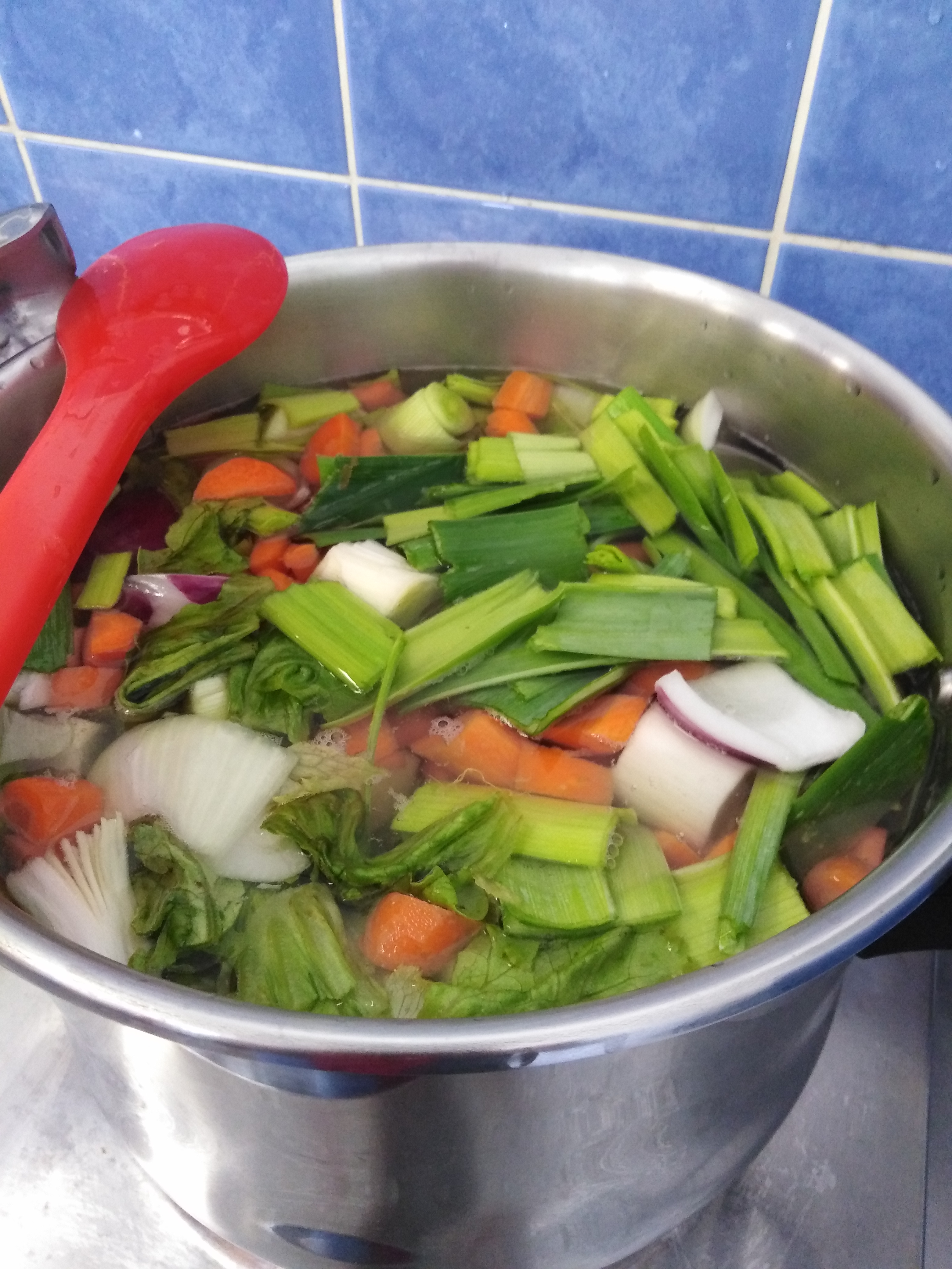 A primeira sopa com os legumes da nossa horta.