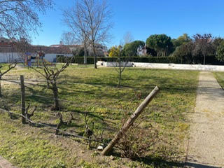 Terreno que se encontra num jardim na vila de Alter do Chão