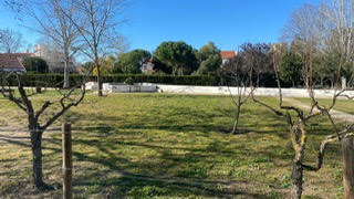 Terreno que se encontra num jardim na vila de Alter do Chão
