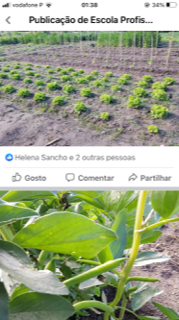 culturas em março
