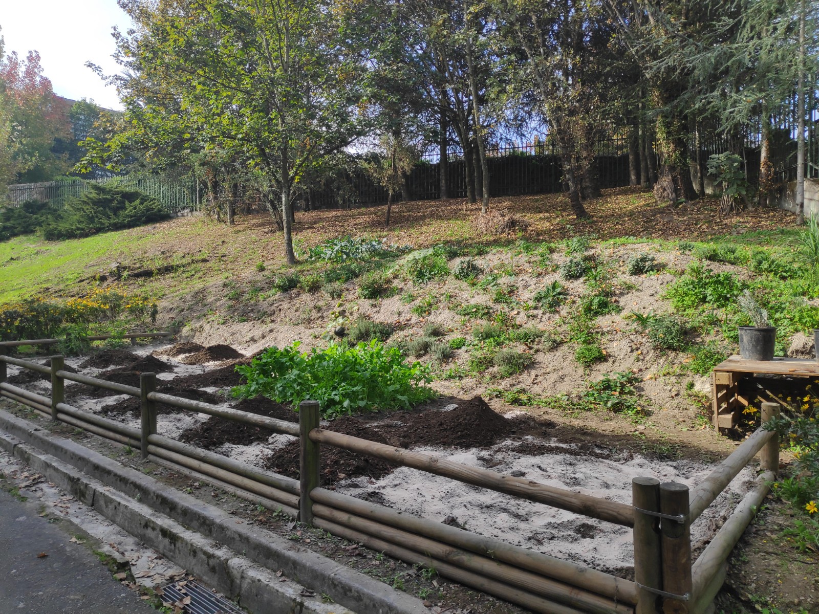Outubro foi tempo de limpeza do terreno da horta e enriquecimento do solo