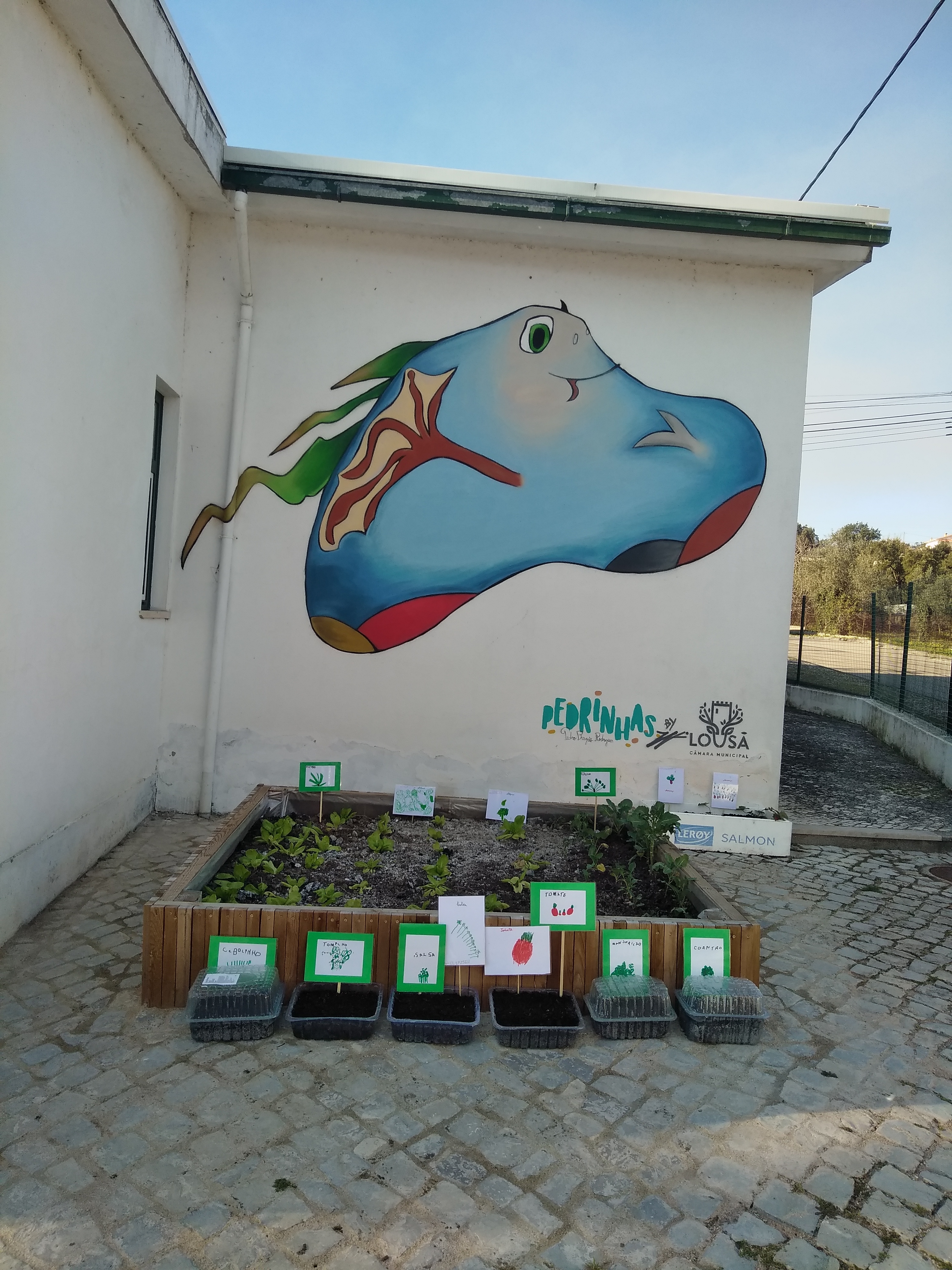A nossa horta com alfaces, couves e ervas aromáticas em "mini estufas", para proteger a terra e as sementes da geada
