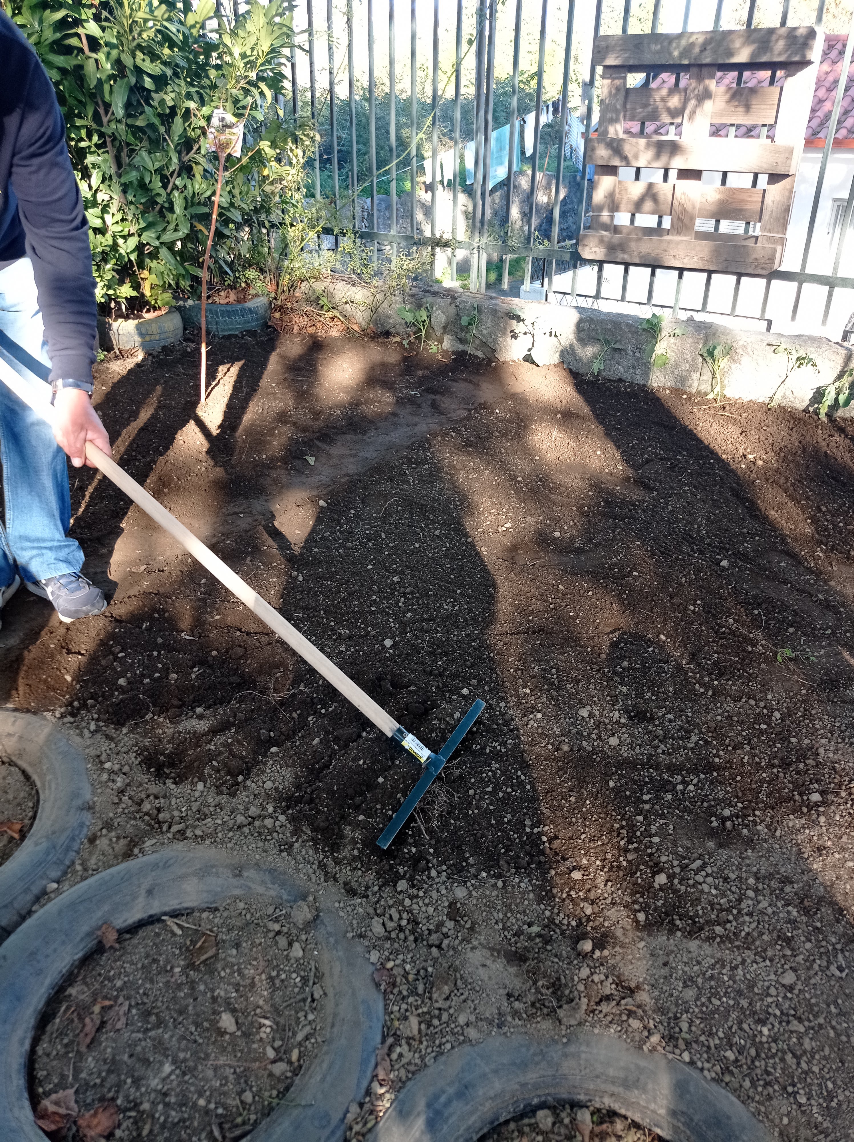 Trabalho na horta novembro (semear e plantar)