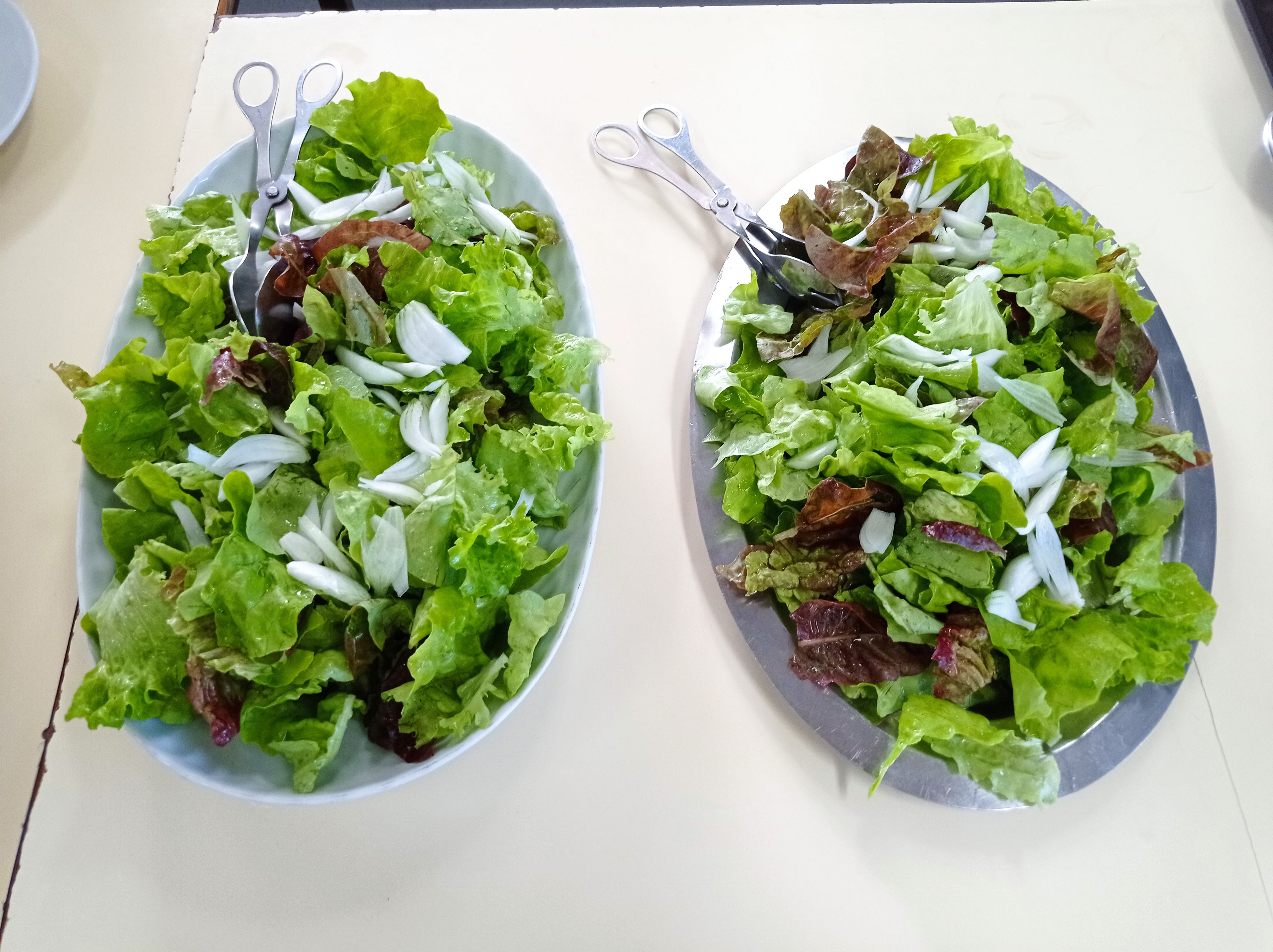 Salada da nossa horta servida ao almoço