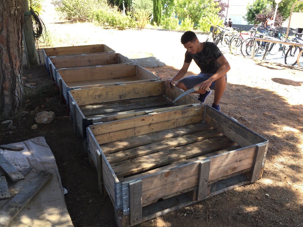 Construção das mini-hortas