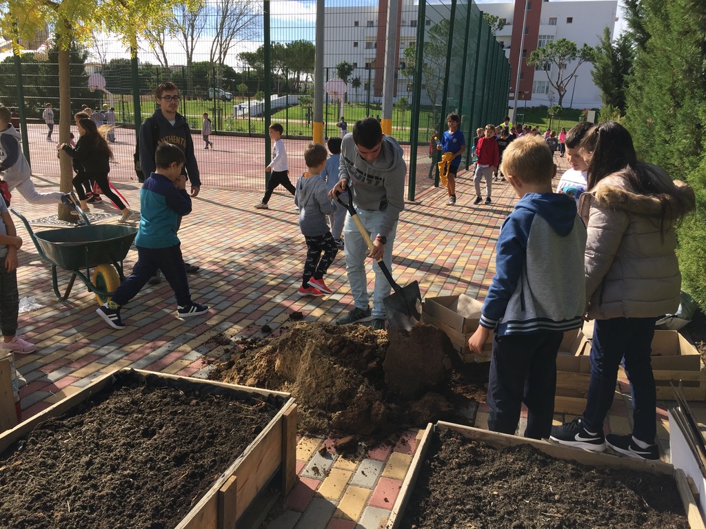 Preparação do solo para plantação (abertura de orifícios)