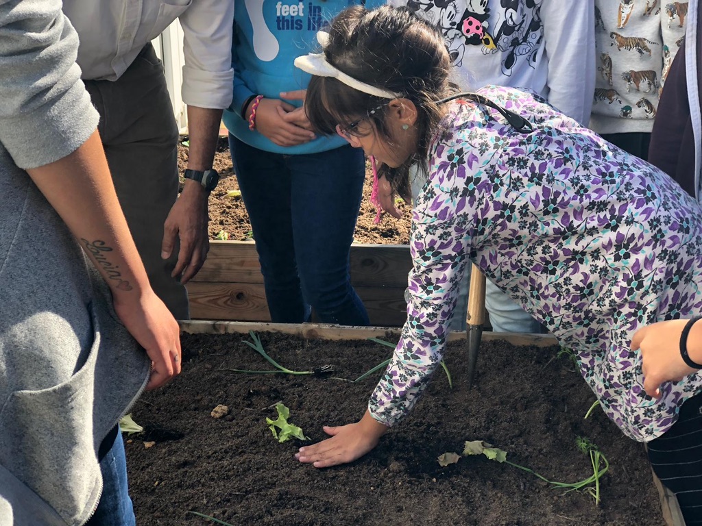 Plantação realizada por aluno