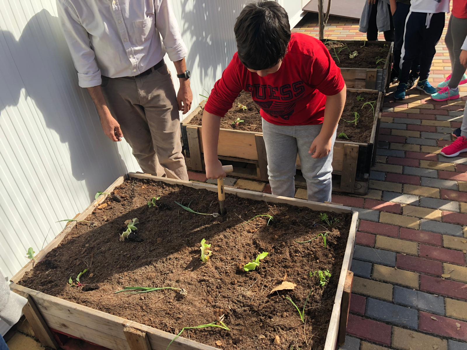 Preparação do solo para plantação (abertura de orifícios)