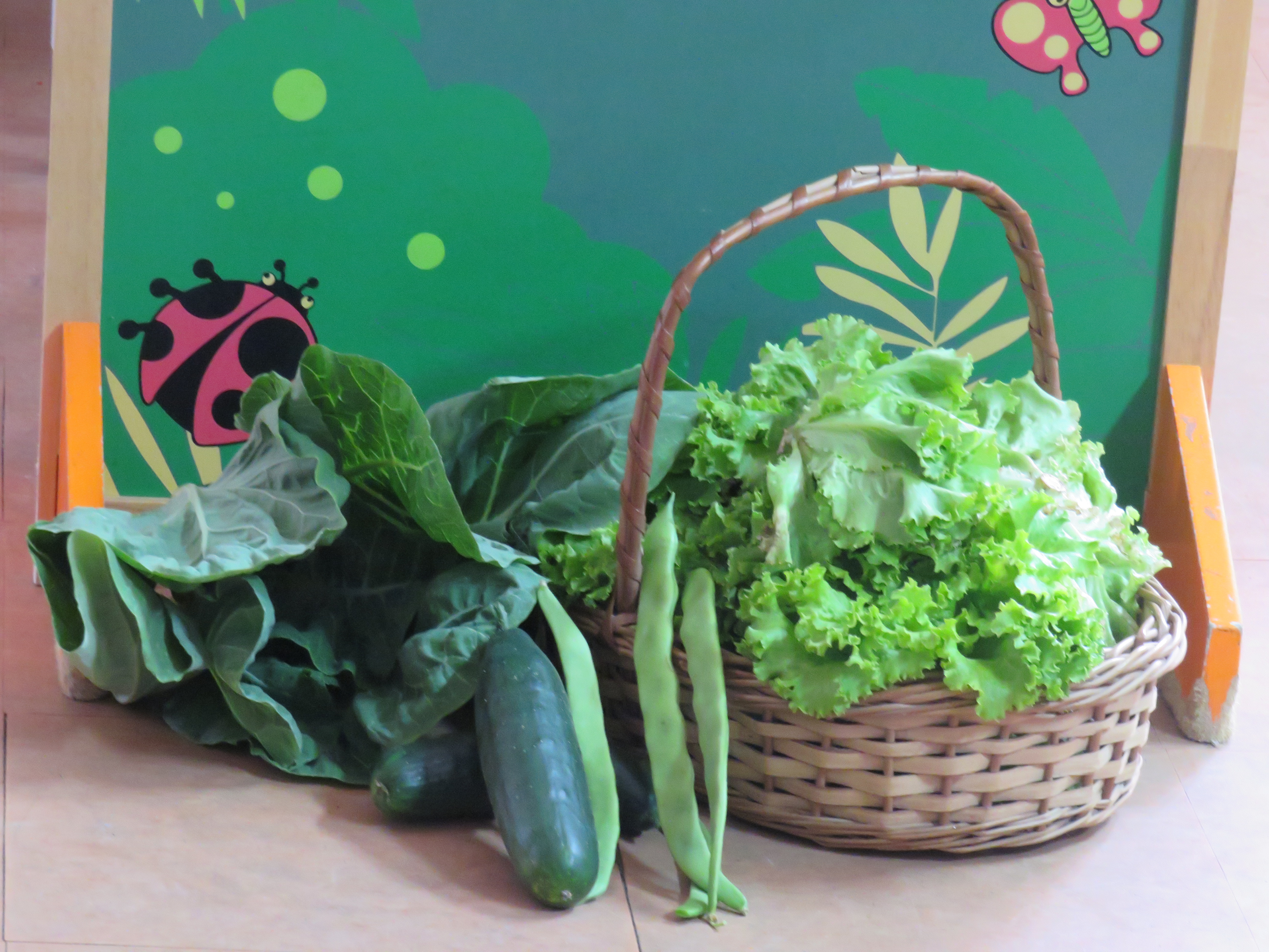 Produtos colhidos na horta para serem levados para casa.