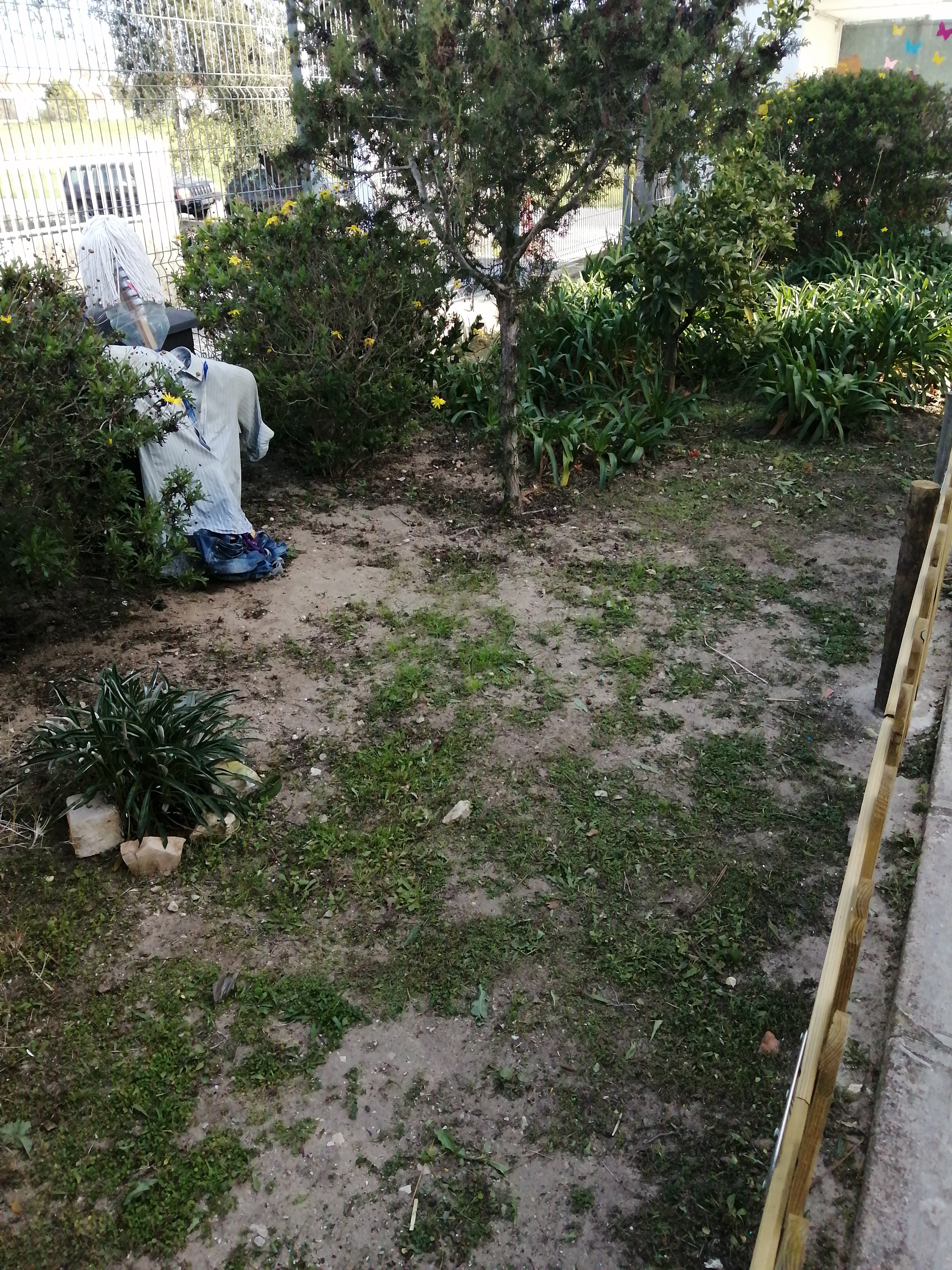 Pequena horta que está por tratar, cada turma irá arranjar o seu espaço.