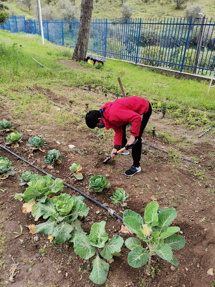 Limpeza da terra, após a monda das ervas daninhas fez-se a limpeza da terra.