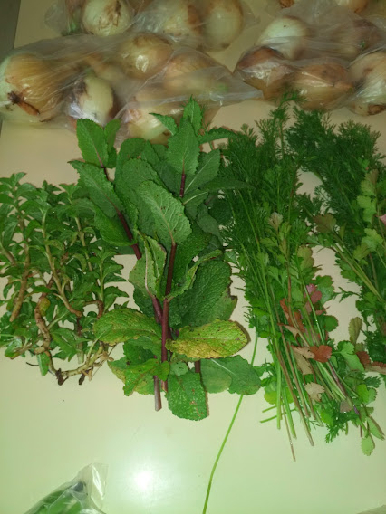 Ervas aromáticas .