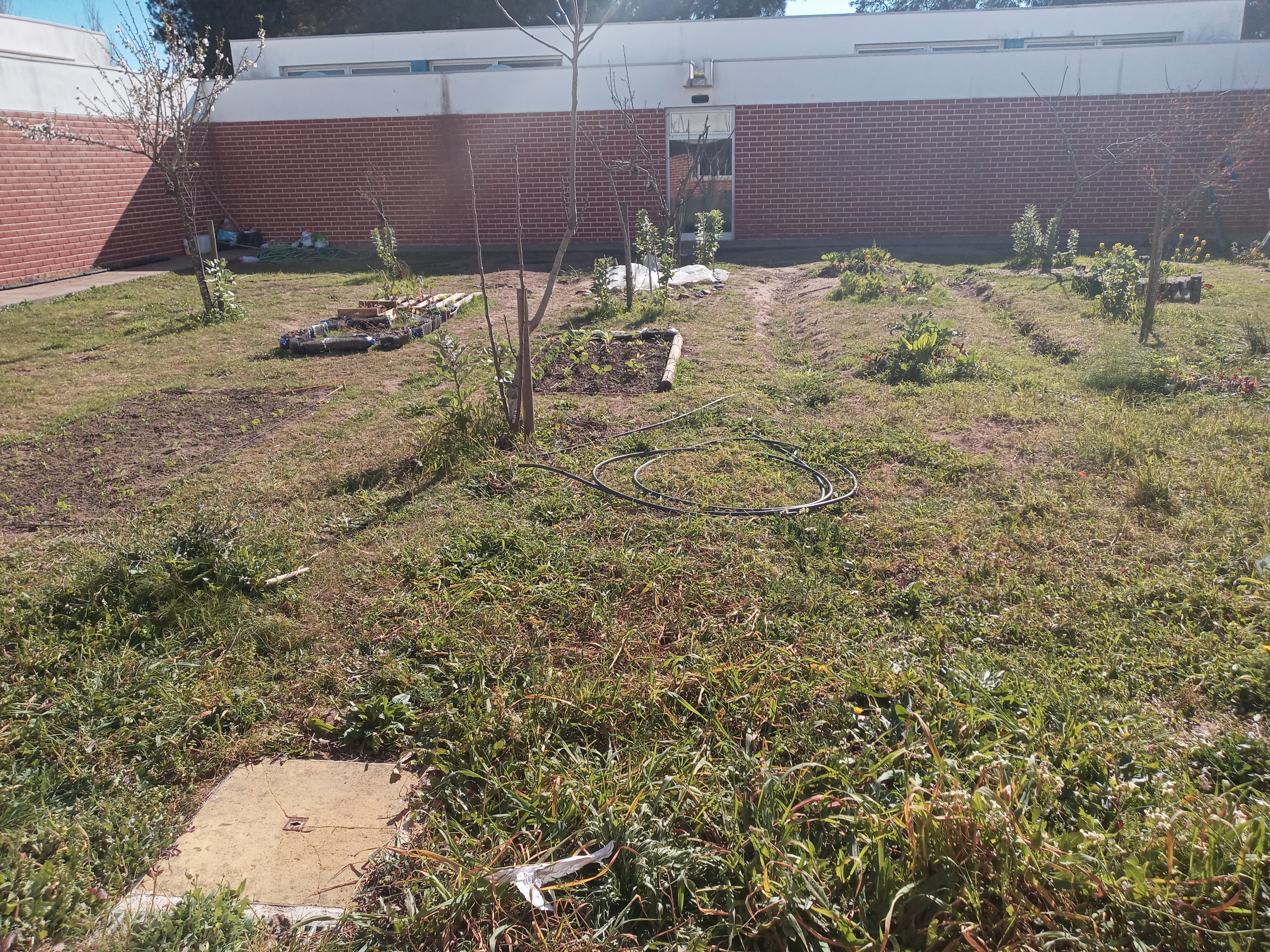Diariamente, há uma turma a trabalhar e a dinamizar a horta na atividade de Educação Ambiental nas AEC.