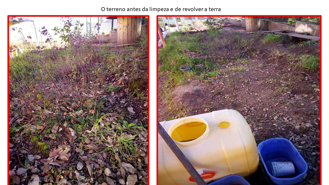 Setembro - Terreno antes de ser limpo e preparado para a Horta.