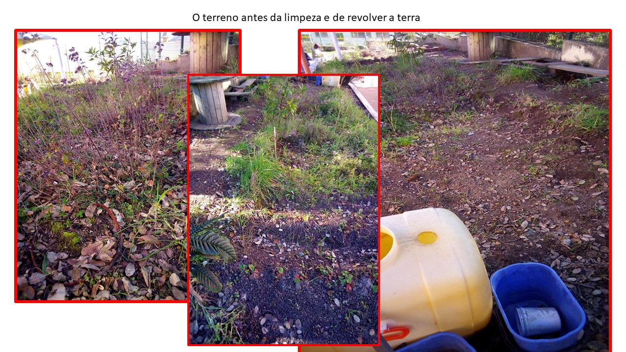 Setembro - Terreno antes de ser limpo e preparado para a Horta.