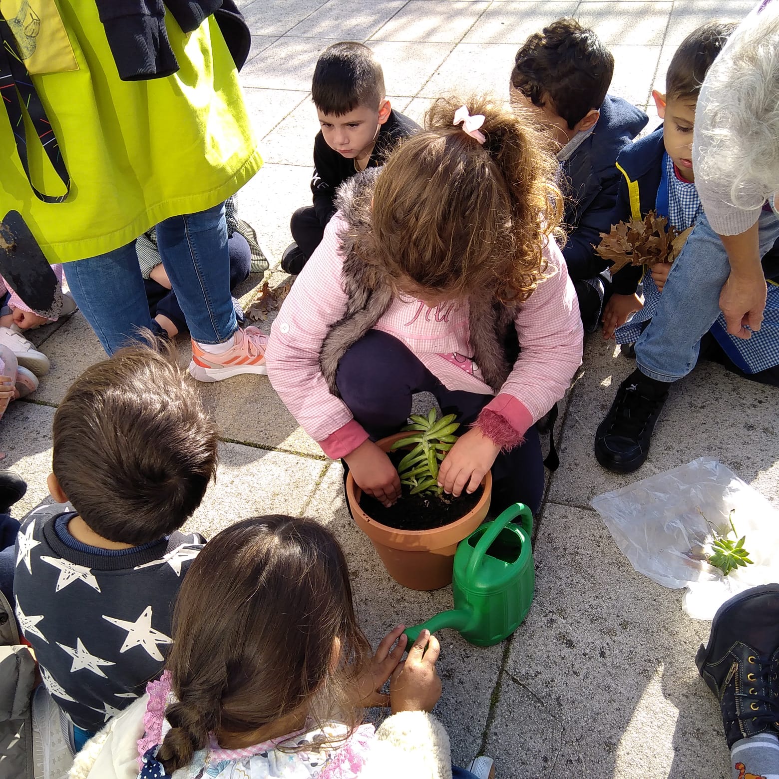 Plantação de outras plantas para embelezar os espaços exteriores.