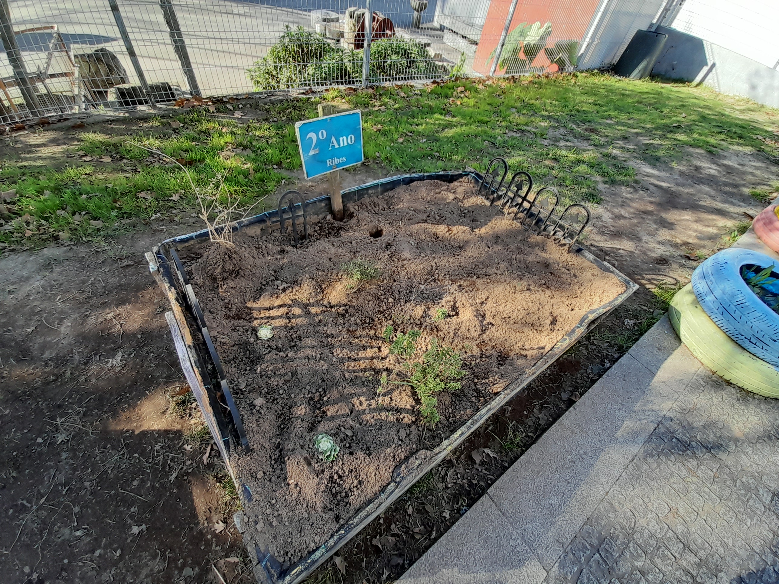 Horta no início do projeto