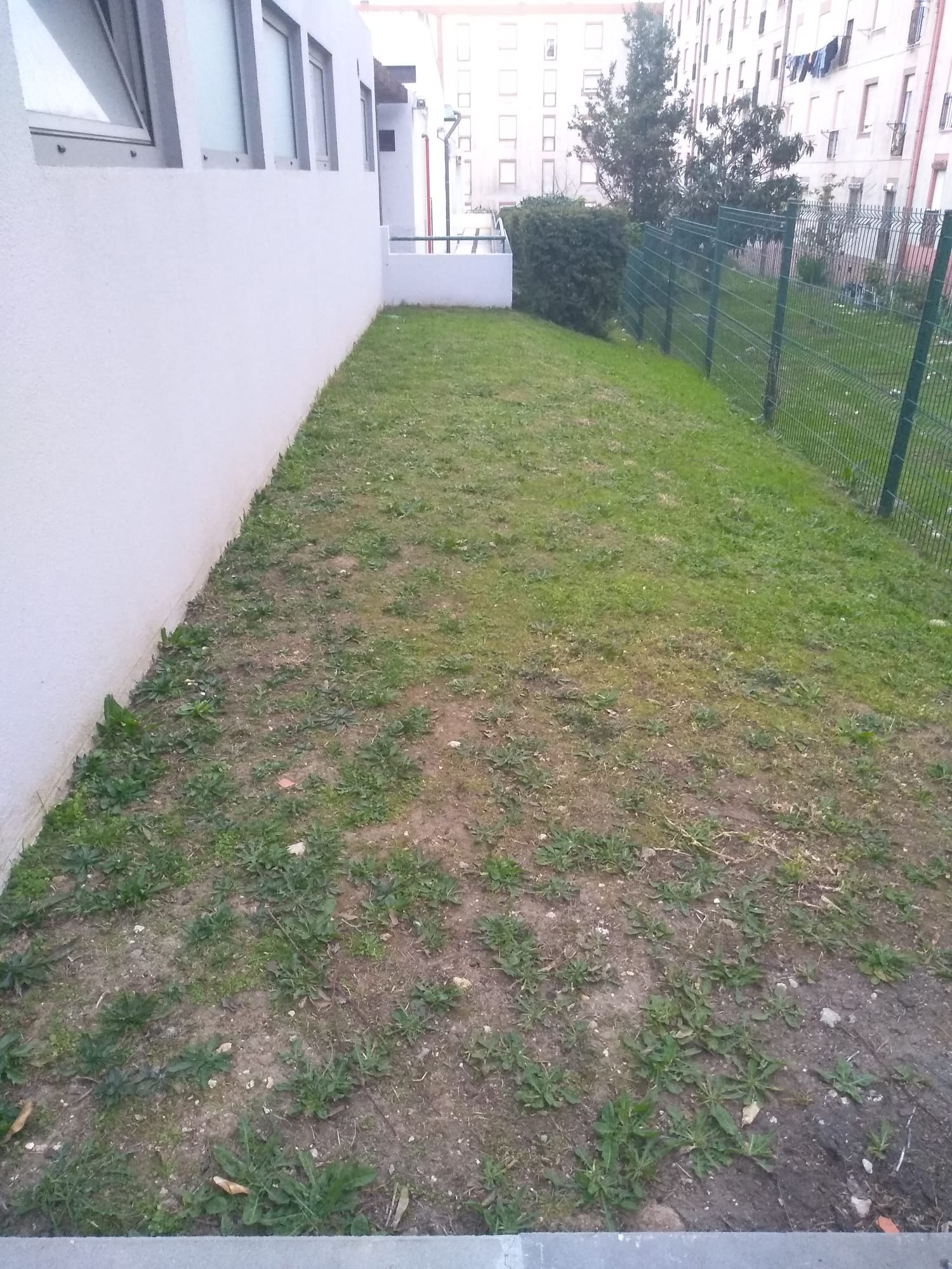 perspetiva do local onde será instalada a horta.