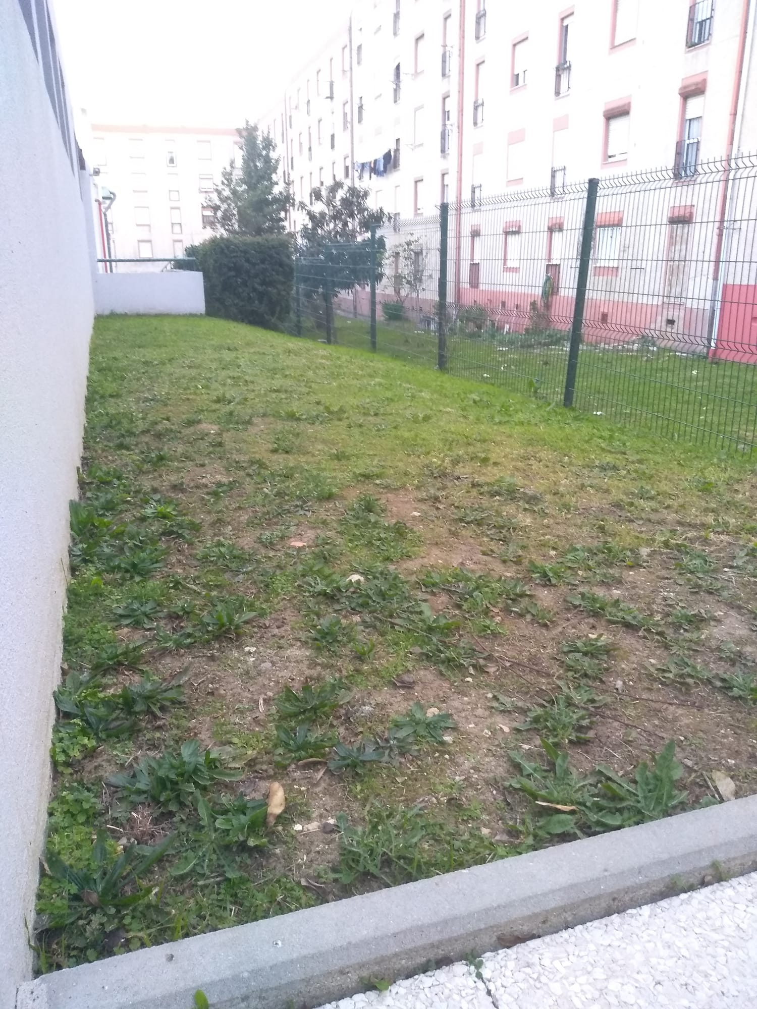 perspetiva do local onde será instalada a horta.