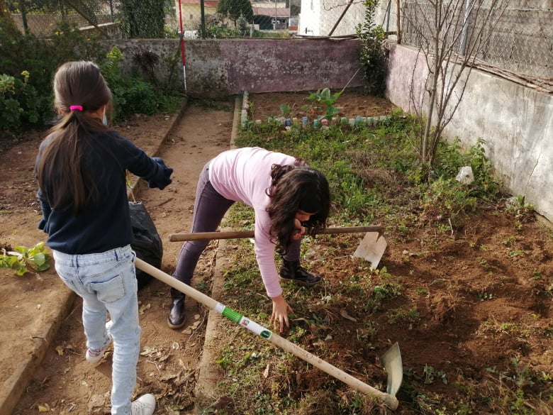 Preparação do terreno.